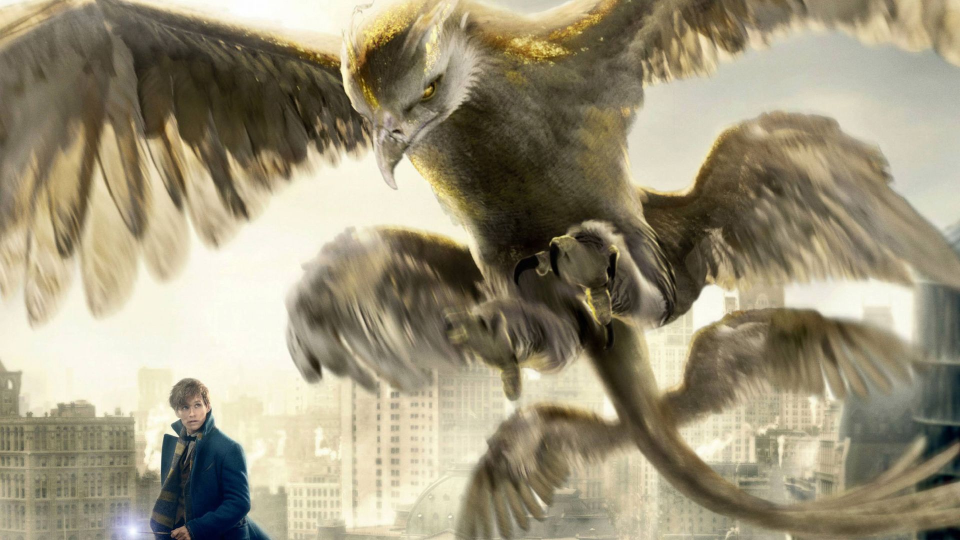 Wallpaper Thunderbird fantastic beasts and where to find them movie