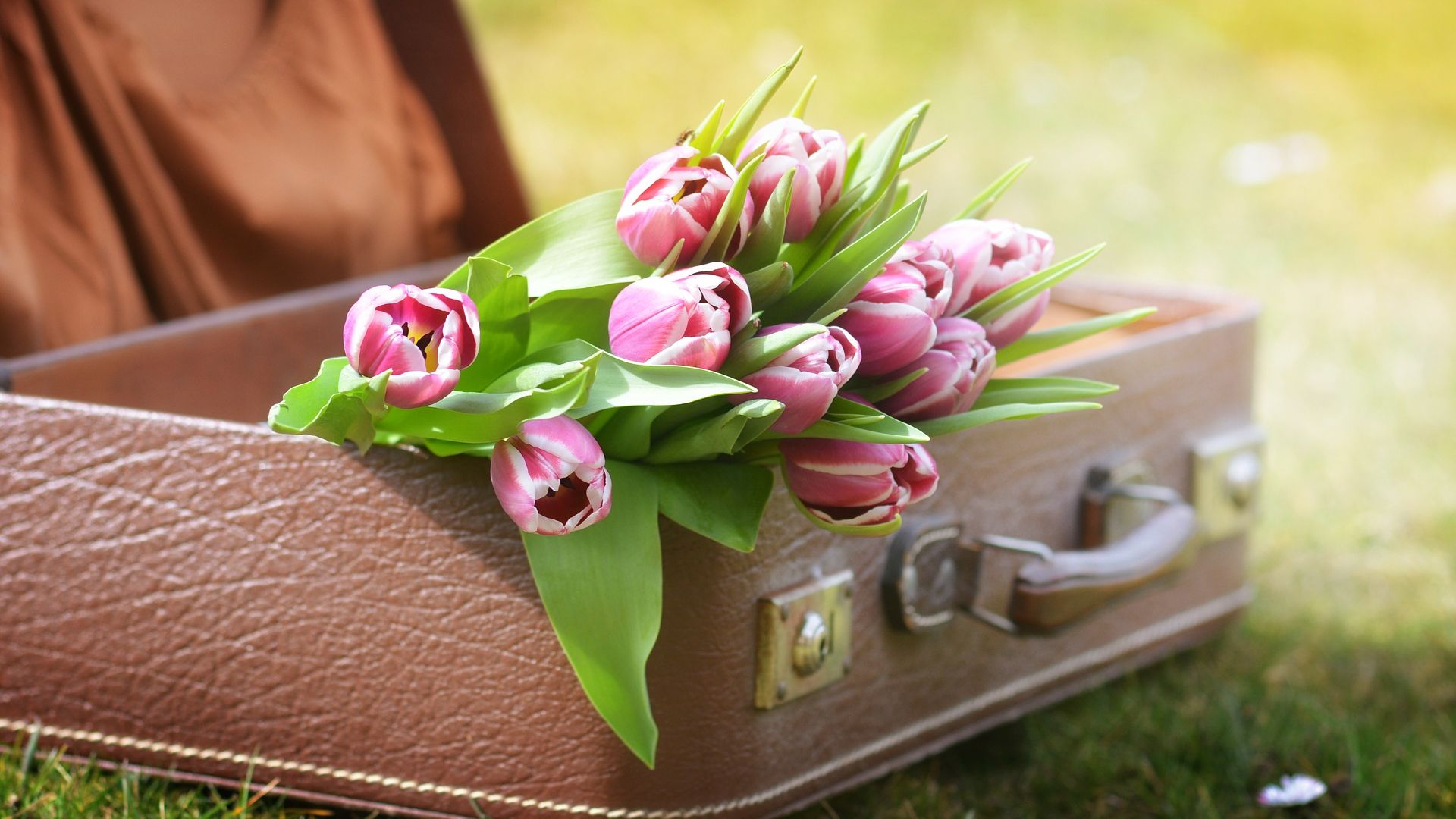 Wallpaper Luggage, tulip, spring, suitcase