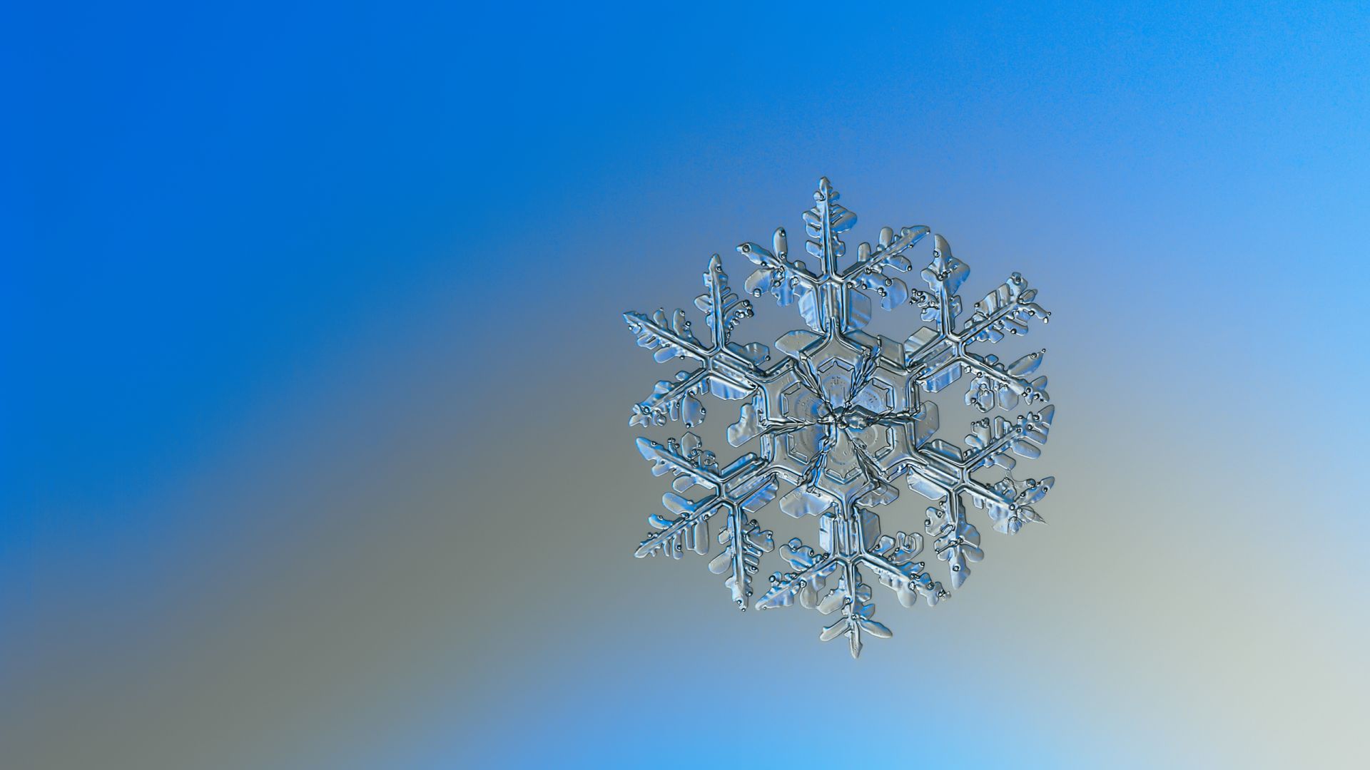 Wallpaper Snowflake, close up
