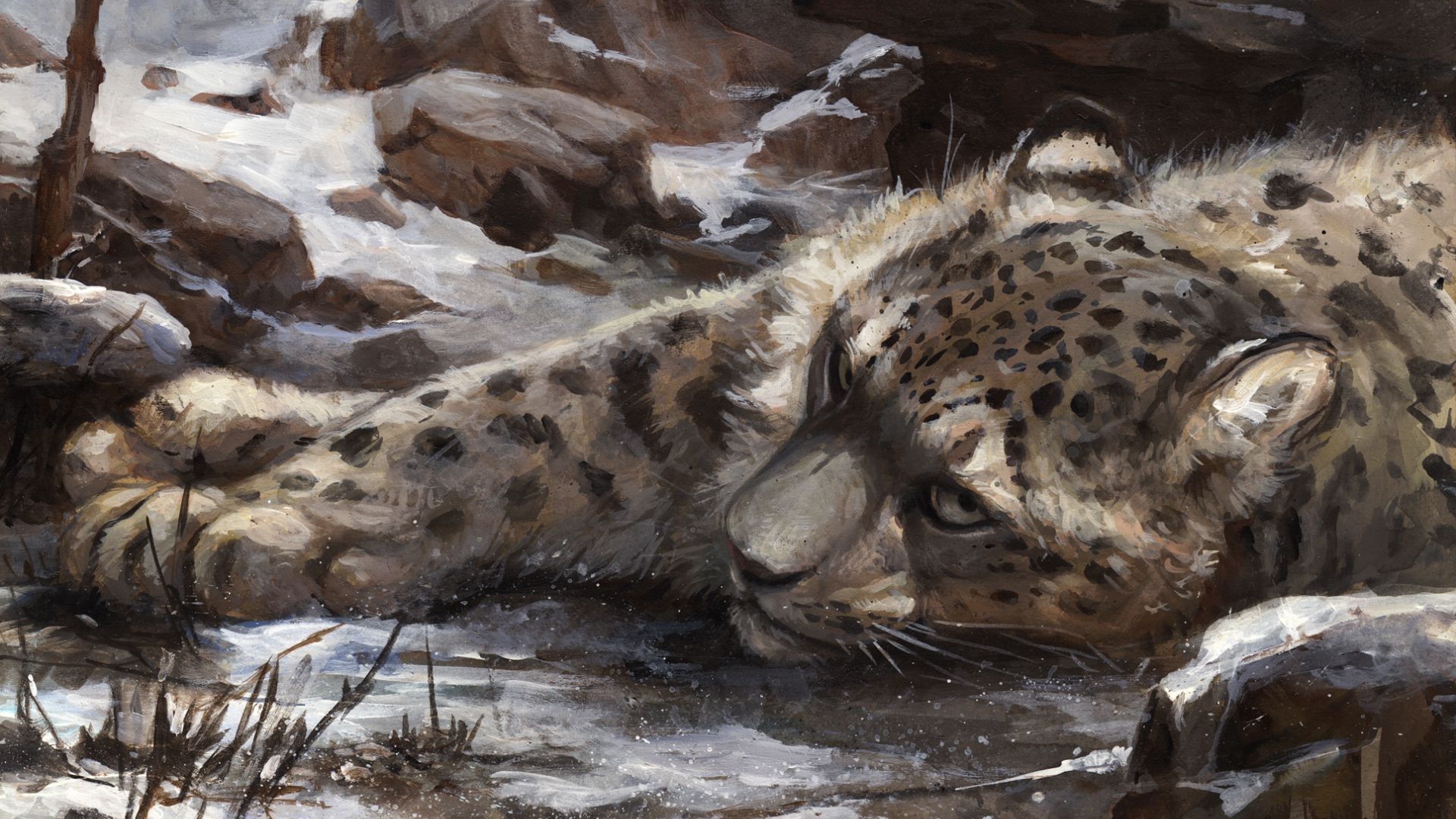 Wallpaper Snow leopard, animal, lying, art