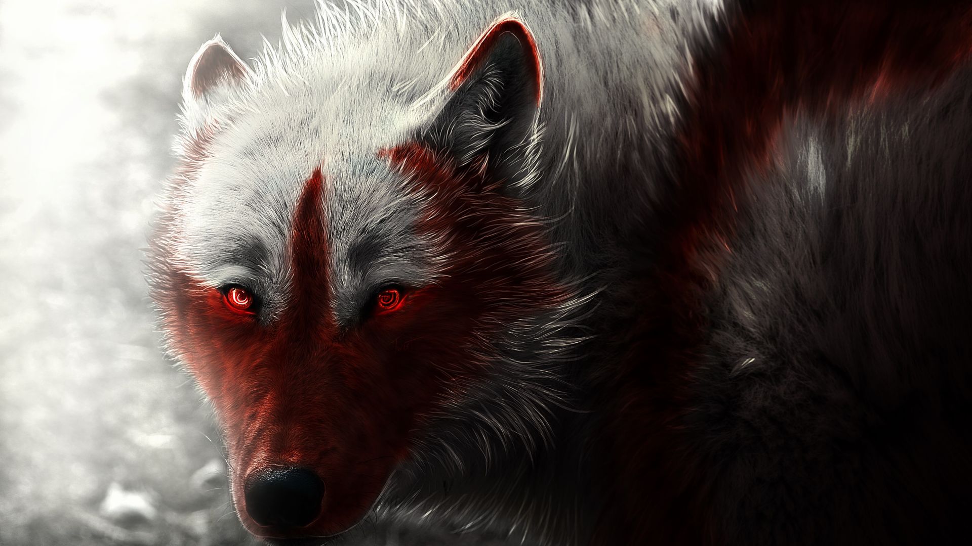 Wallpaper Wolf, Predator, animal, fantasy art