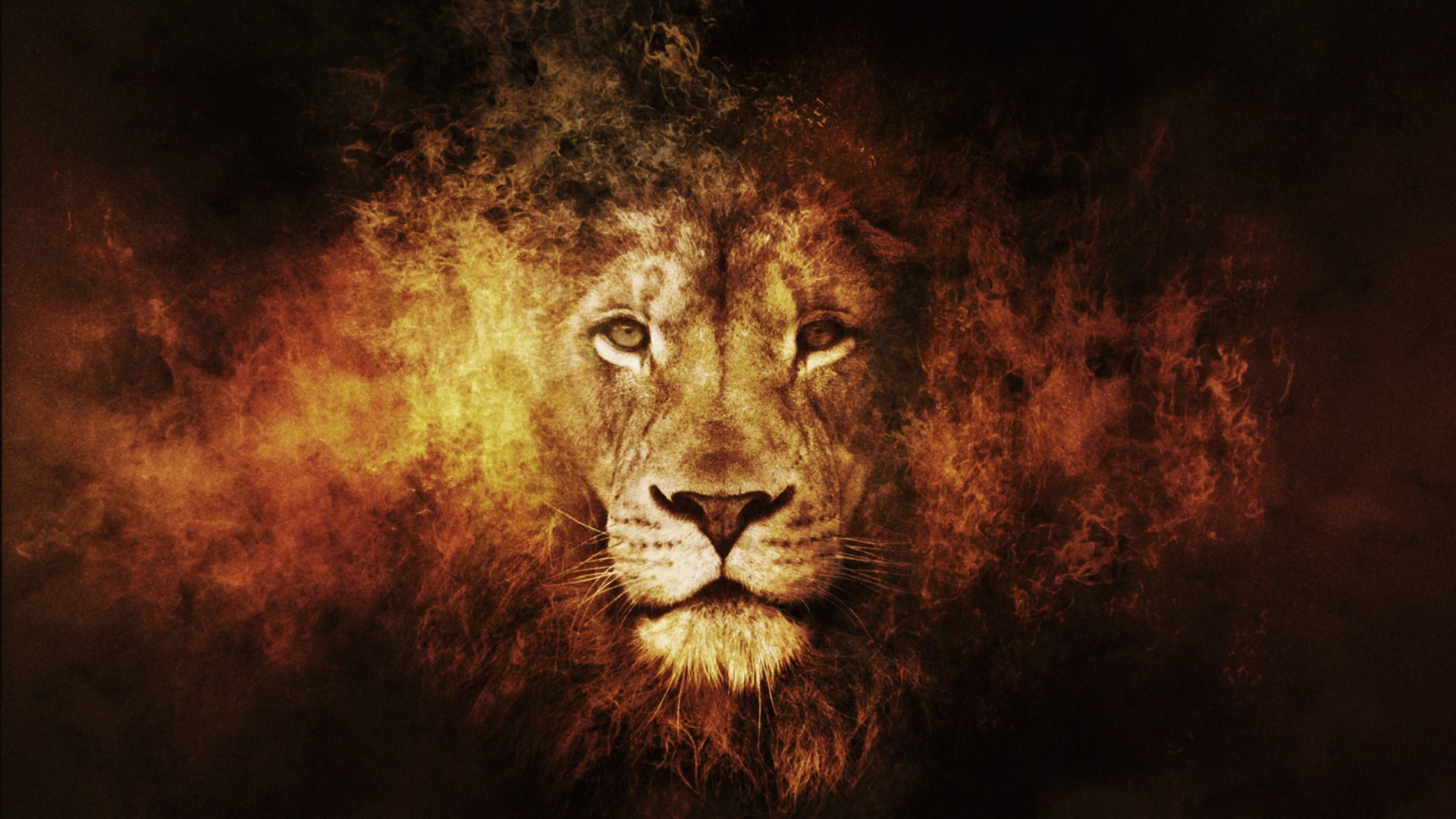 Wallpaper Fire king artwork lion