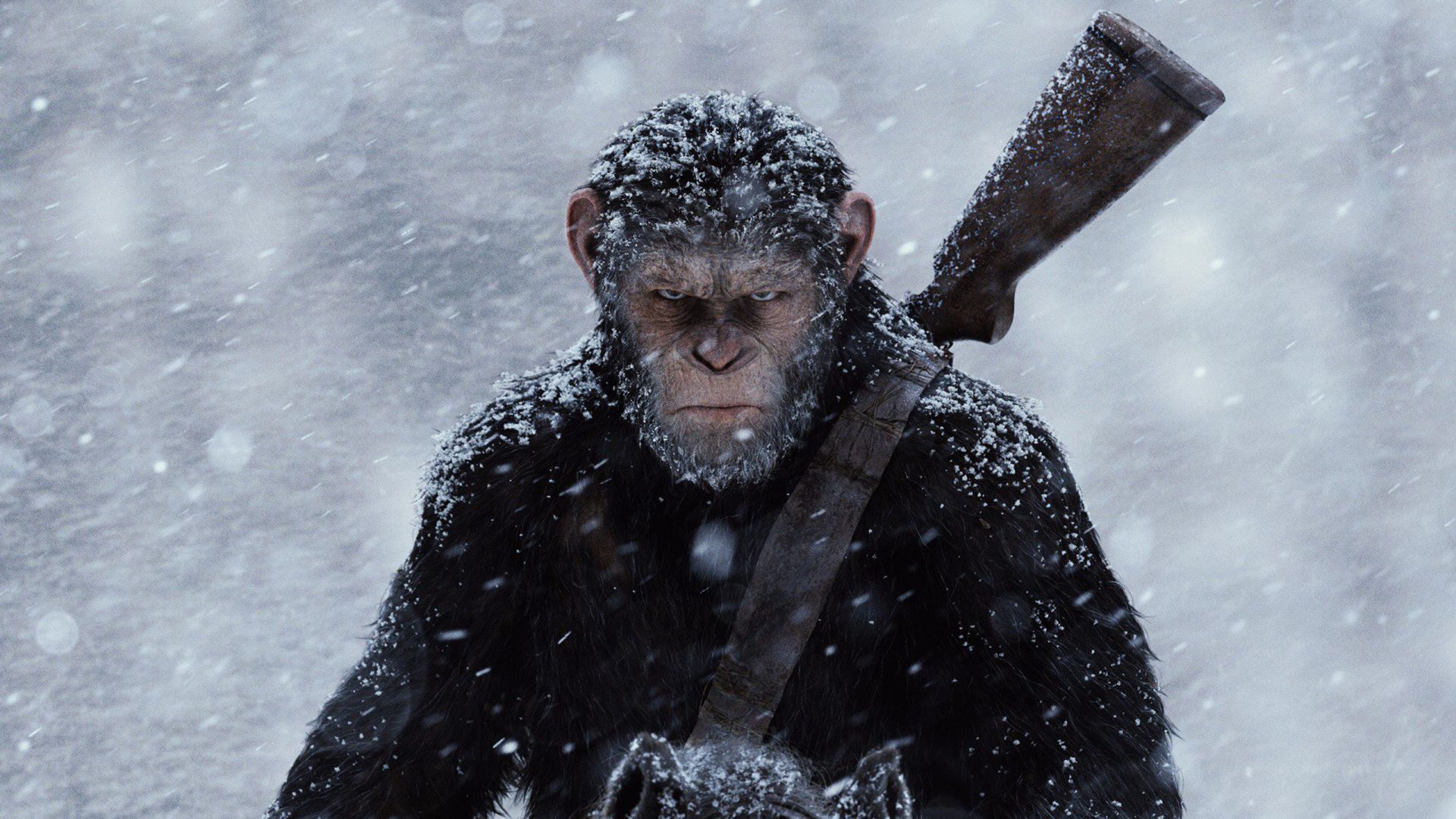 Wallpaper War for the Planet of the Apes 2017 movie