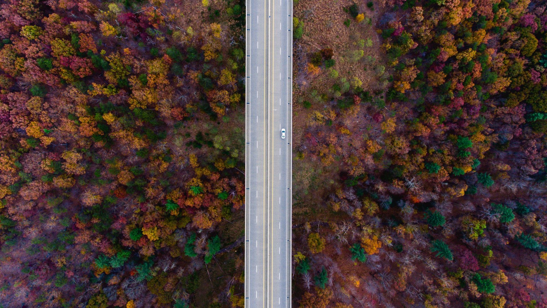 Wallpaper Road, trees, aerial view, autumn, 4k