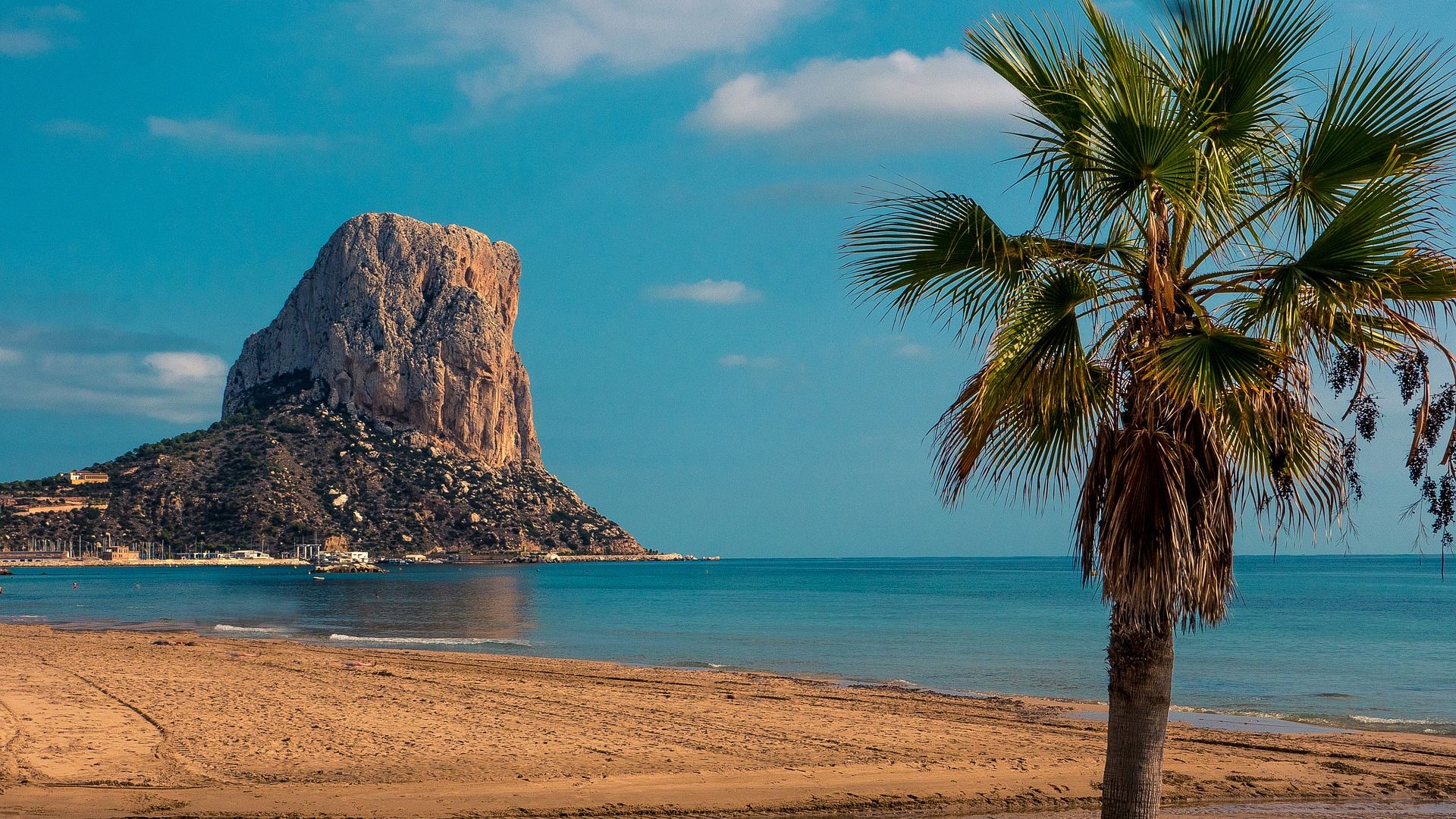 Wallpaper Spain beach, tree, sand, mountains, cliff