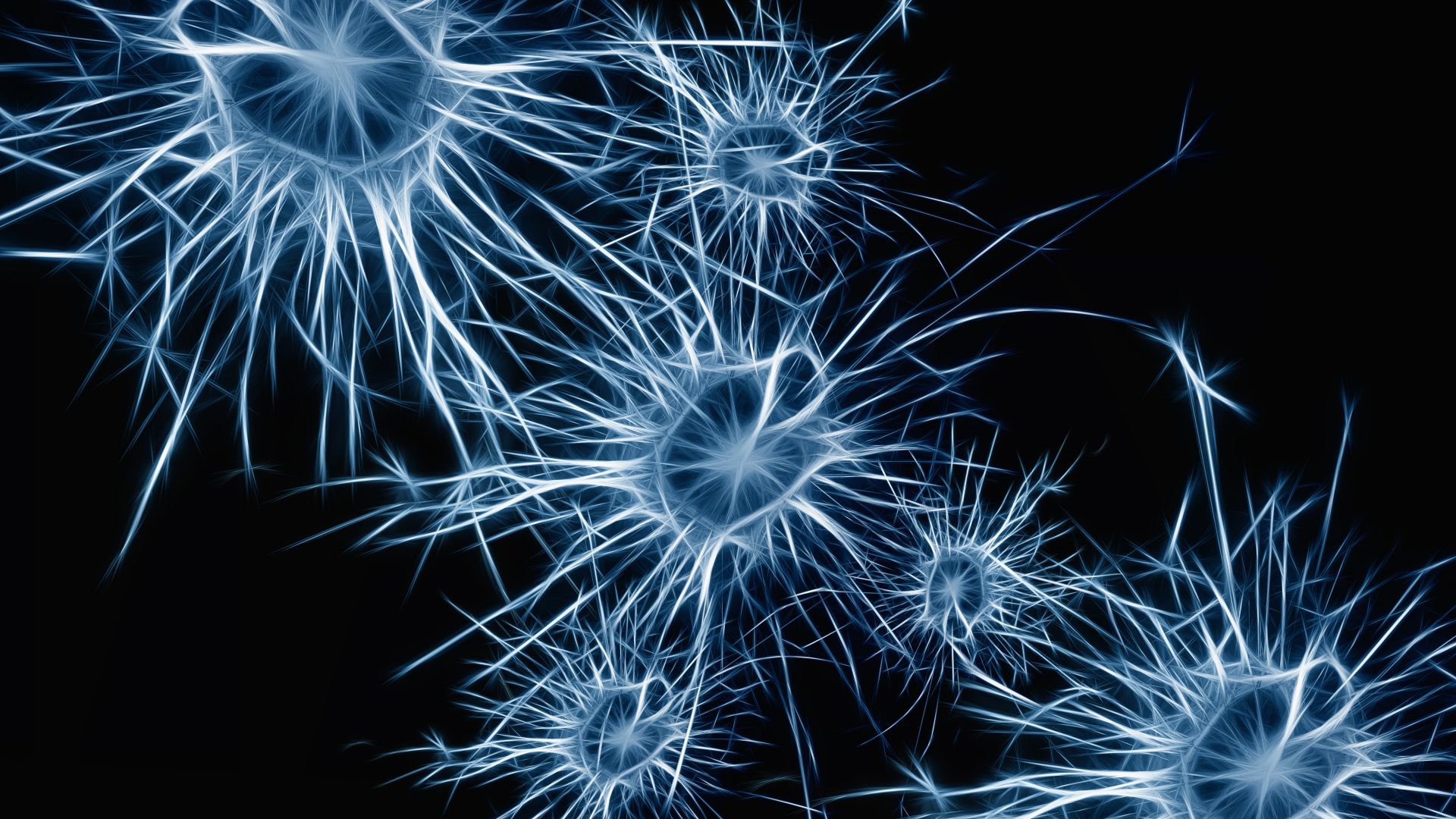 Wallpaper Neurons cell structure