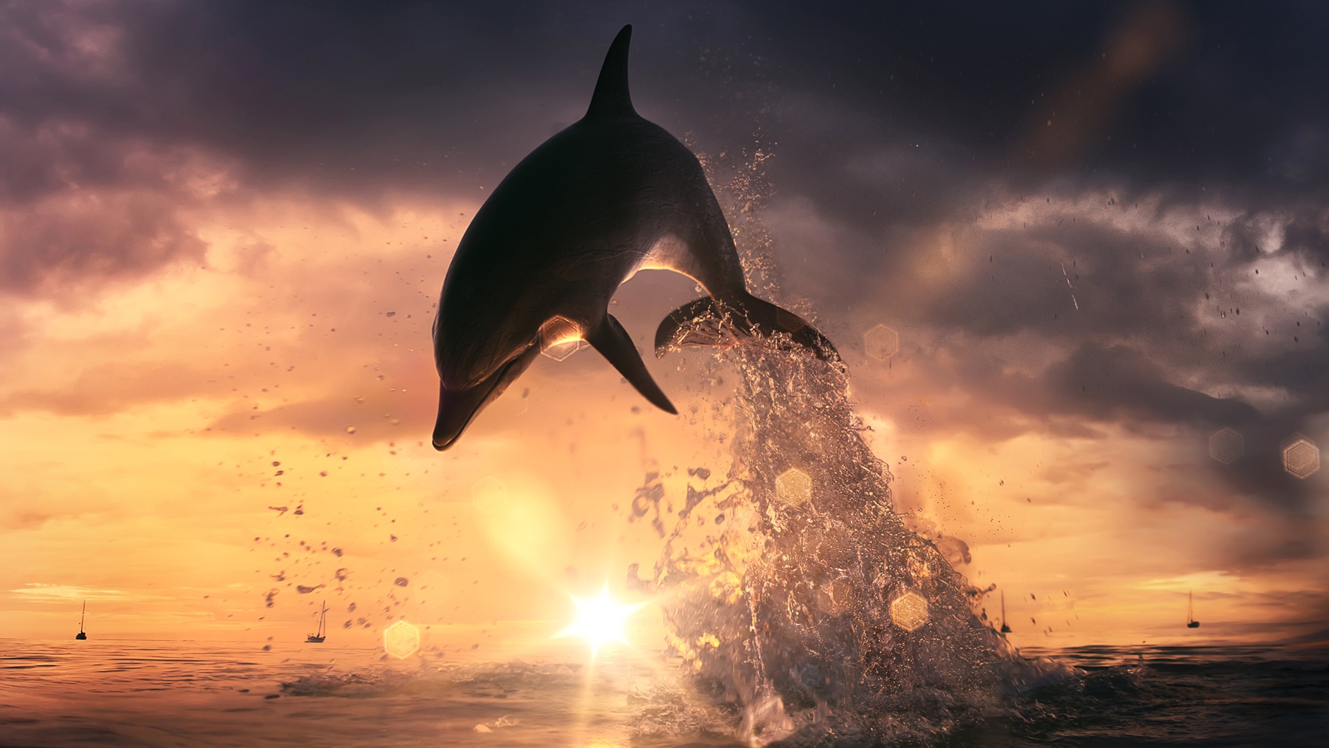 Wallpaper Dolphin jump out of ocean 