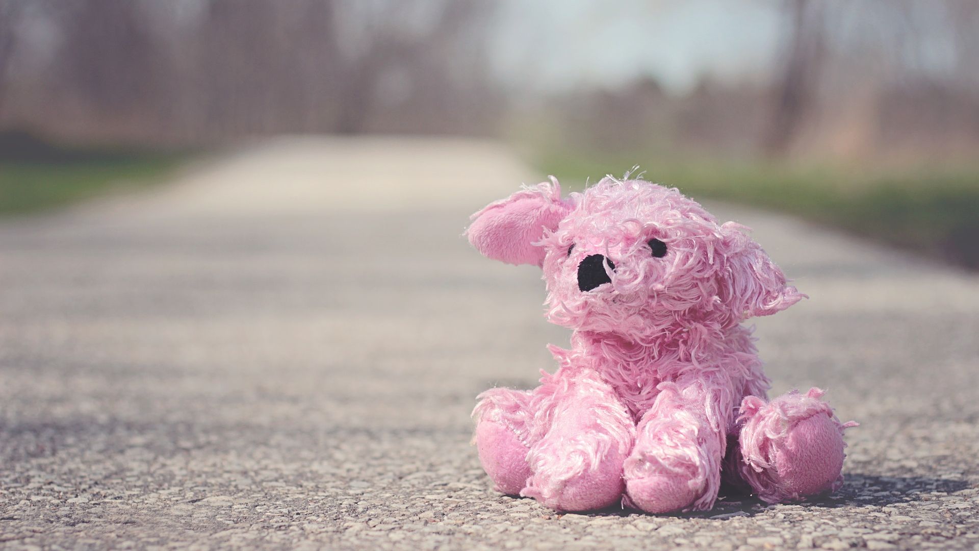 Wallpaper Pink toy, teddy bear, road