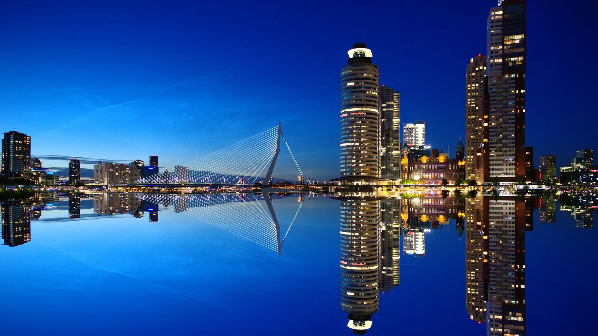 Wallpaper Rotterdam city of Netherlands in night