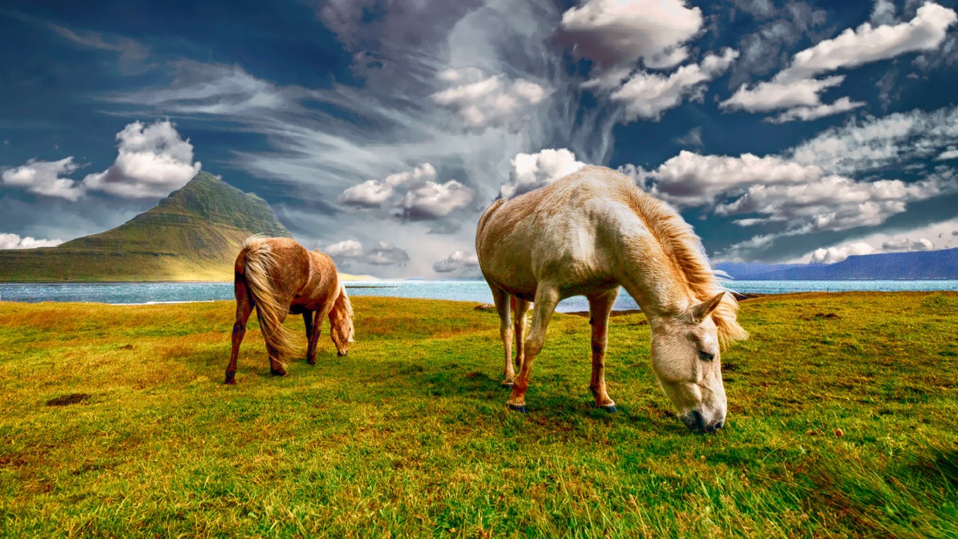 Wallpaper Horses grazing, landscape, clods, animal