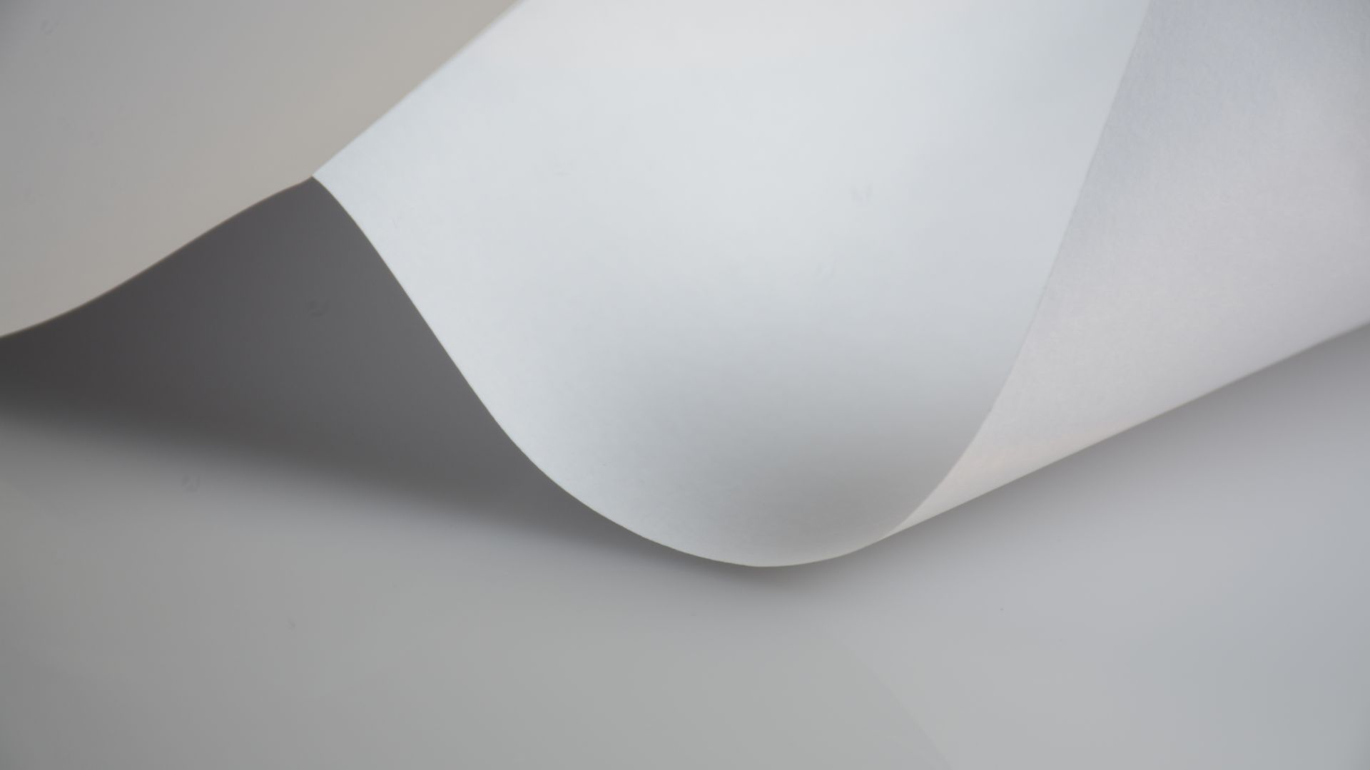Wallpaper White paper, simple