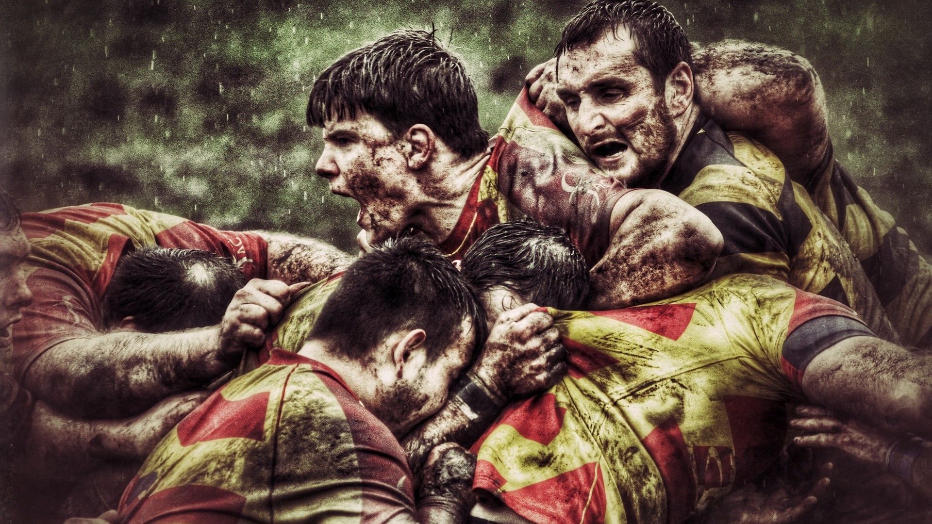 Wallpaper Rugby sports