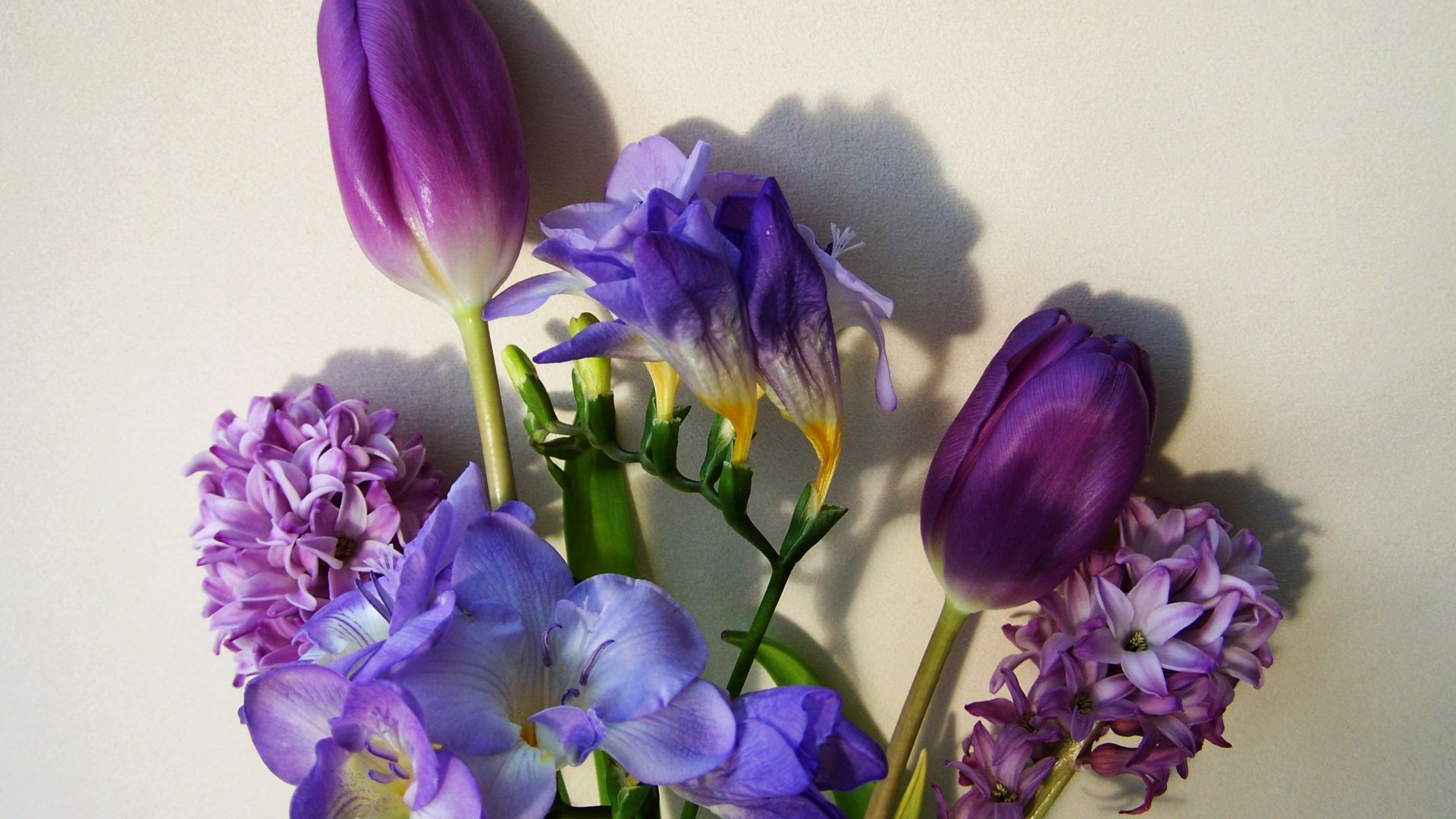 Wallpaper Bunch of flowers, purple flowers