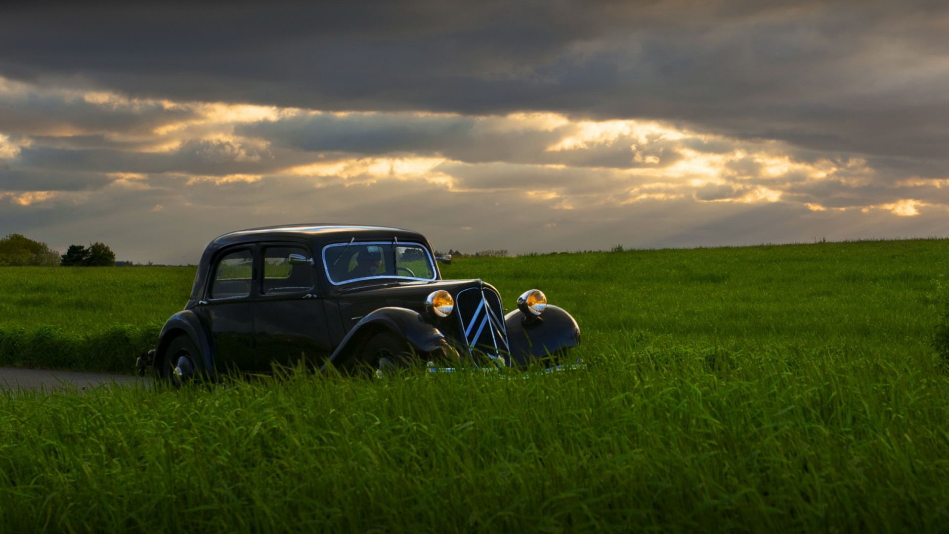 Wallpaper Classic car in grass field, landscape