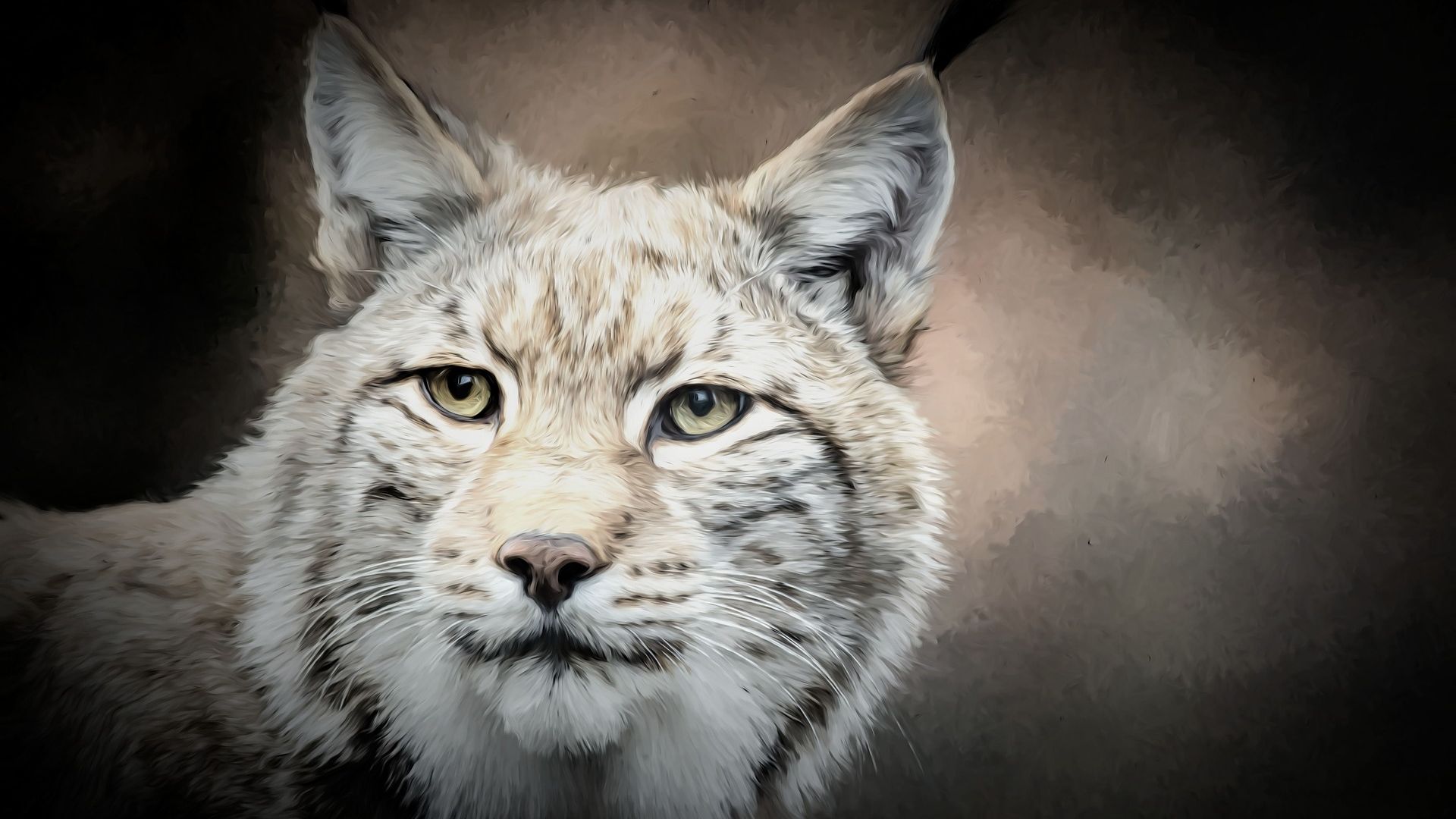 Wallpaper Lynx, cat, predator, muzzle, art