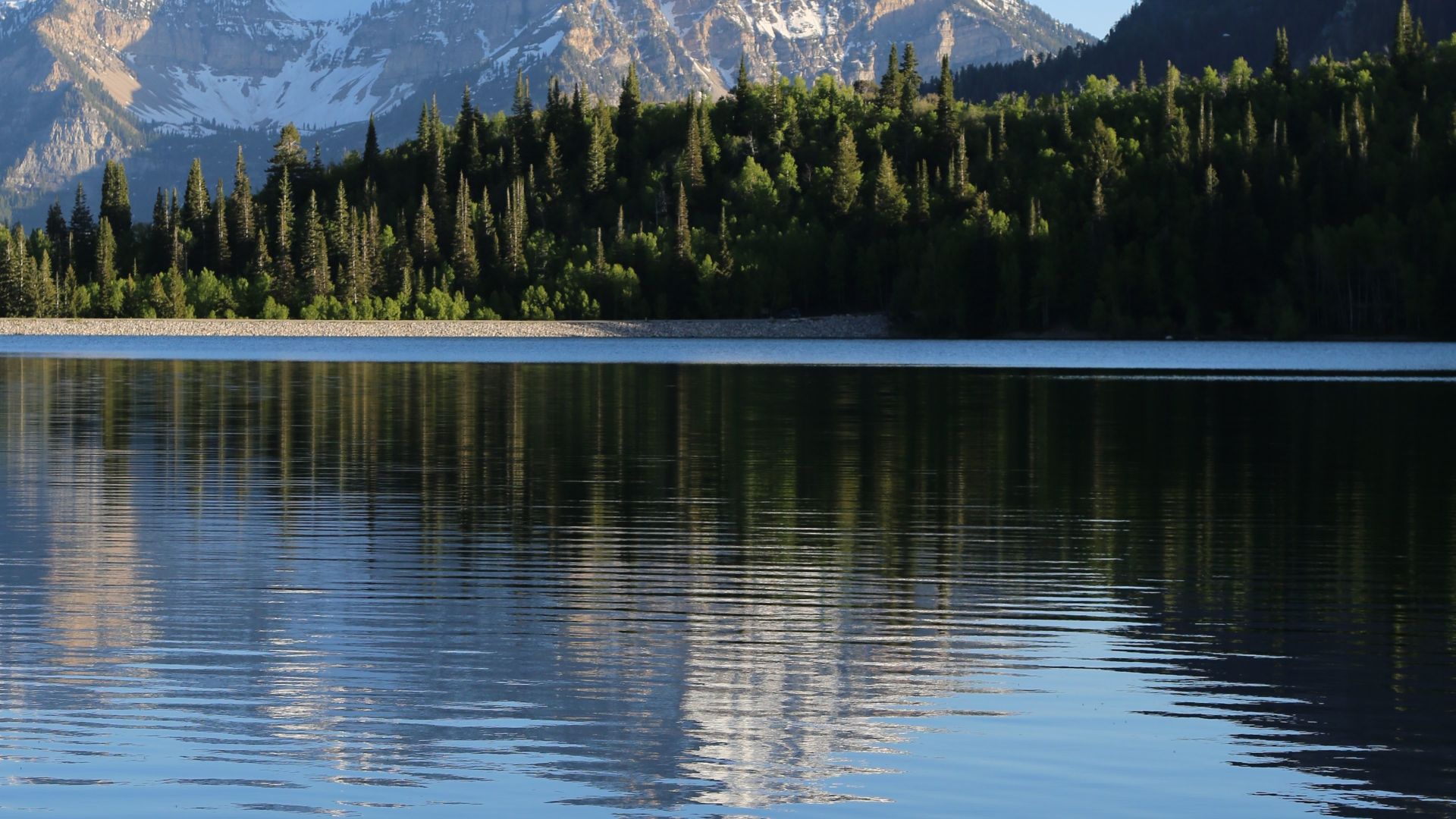 Wallpaper Mountains, lake and tree