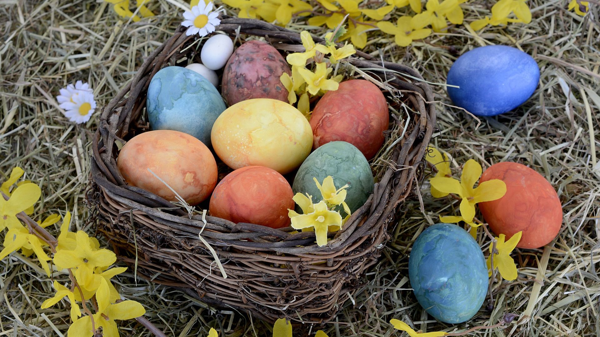Wallpaper Easter nest, colored eggs, eggs