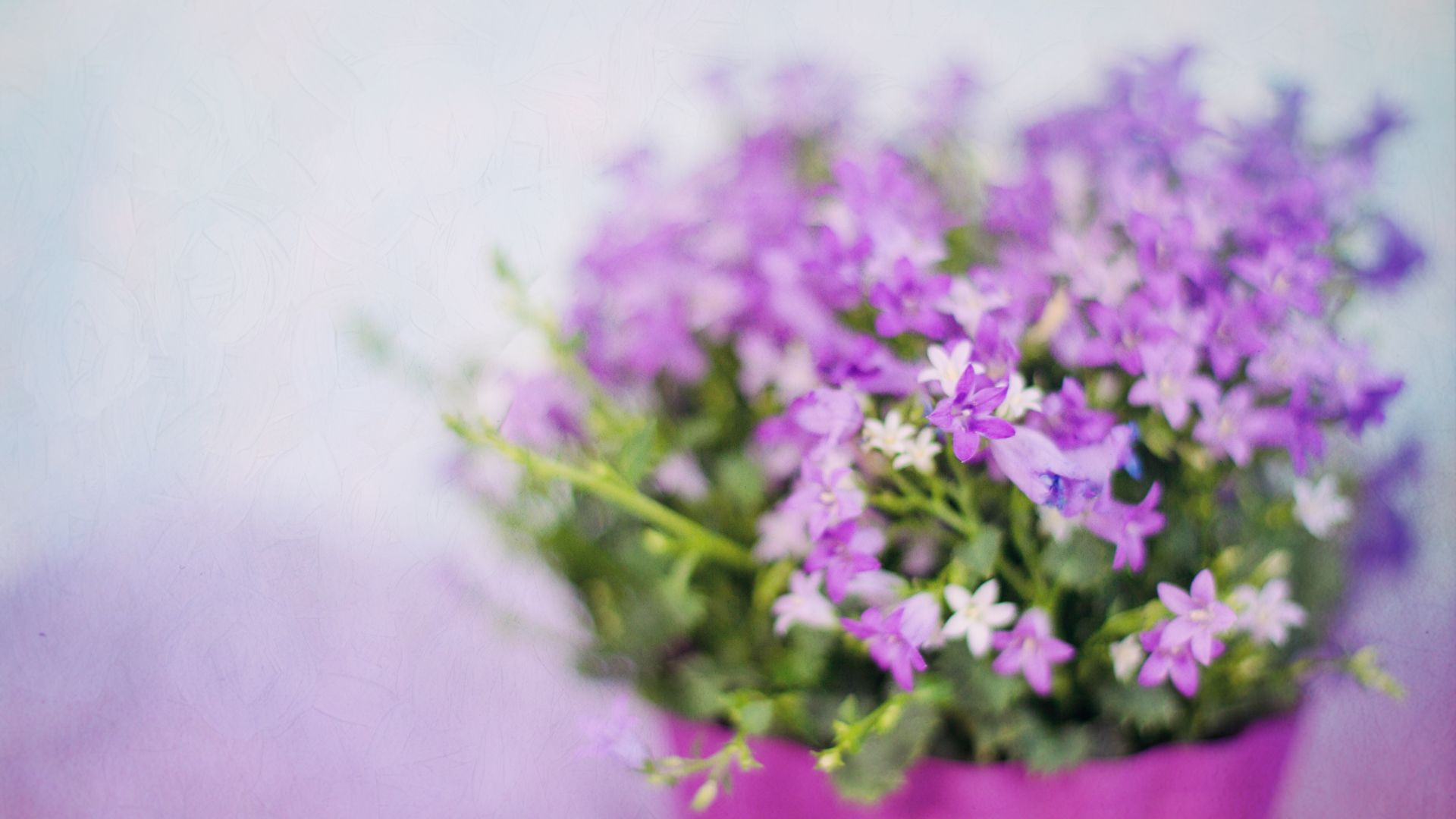 Wallpaper Small Purple flowers, blur, vase