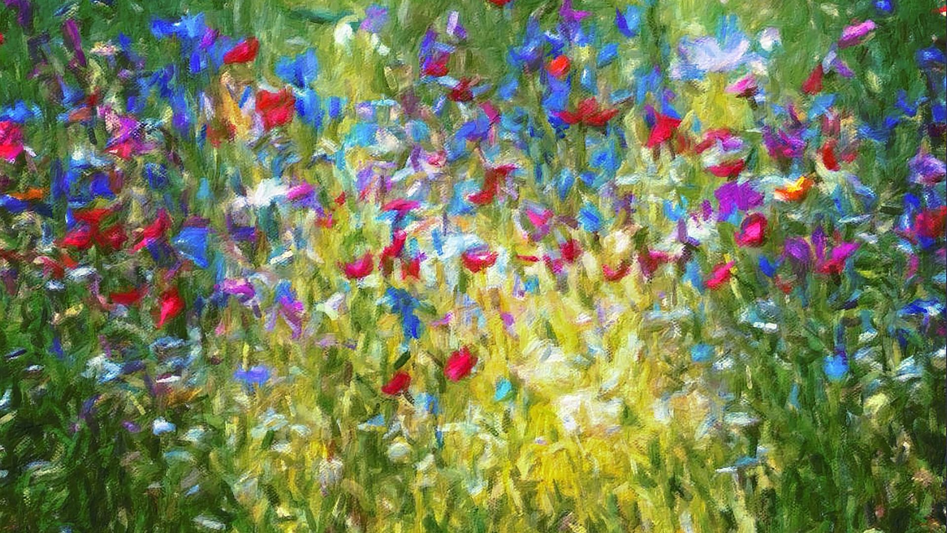 Wallpaper Flowers field, meadow, art