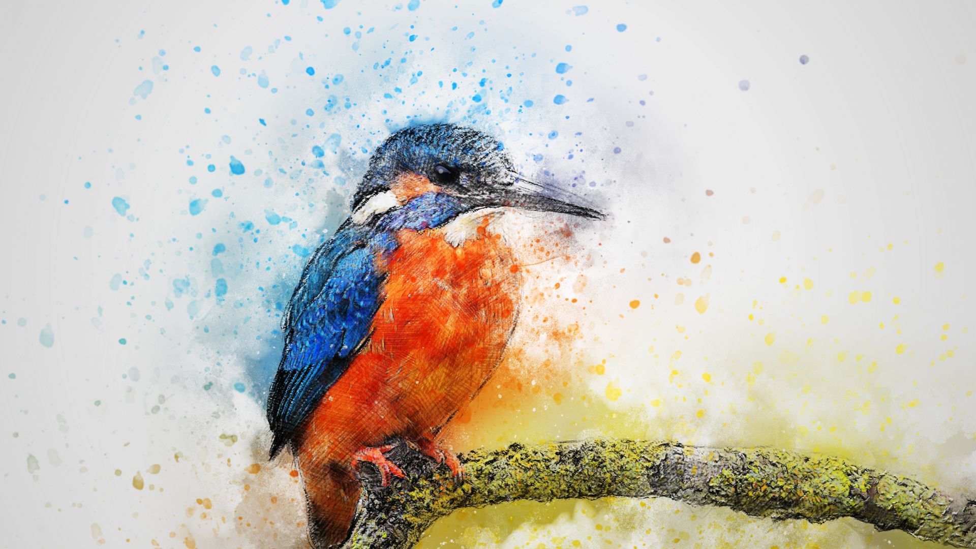 Wallpaper Kingfisher, bird, colorful art