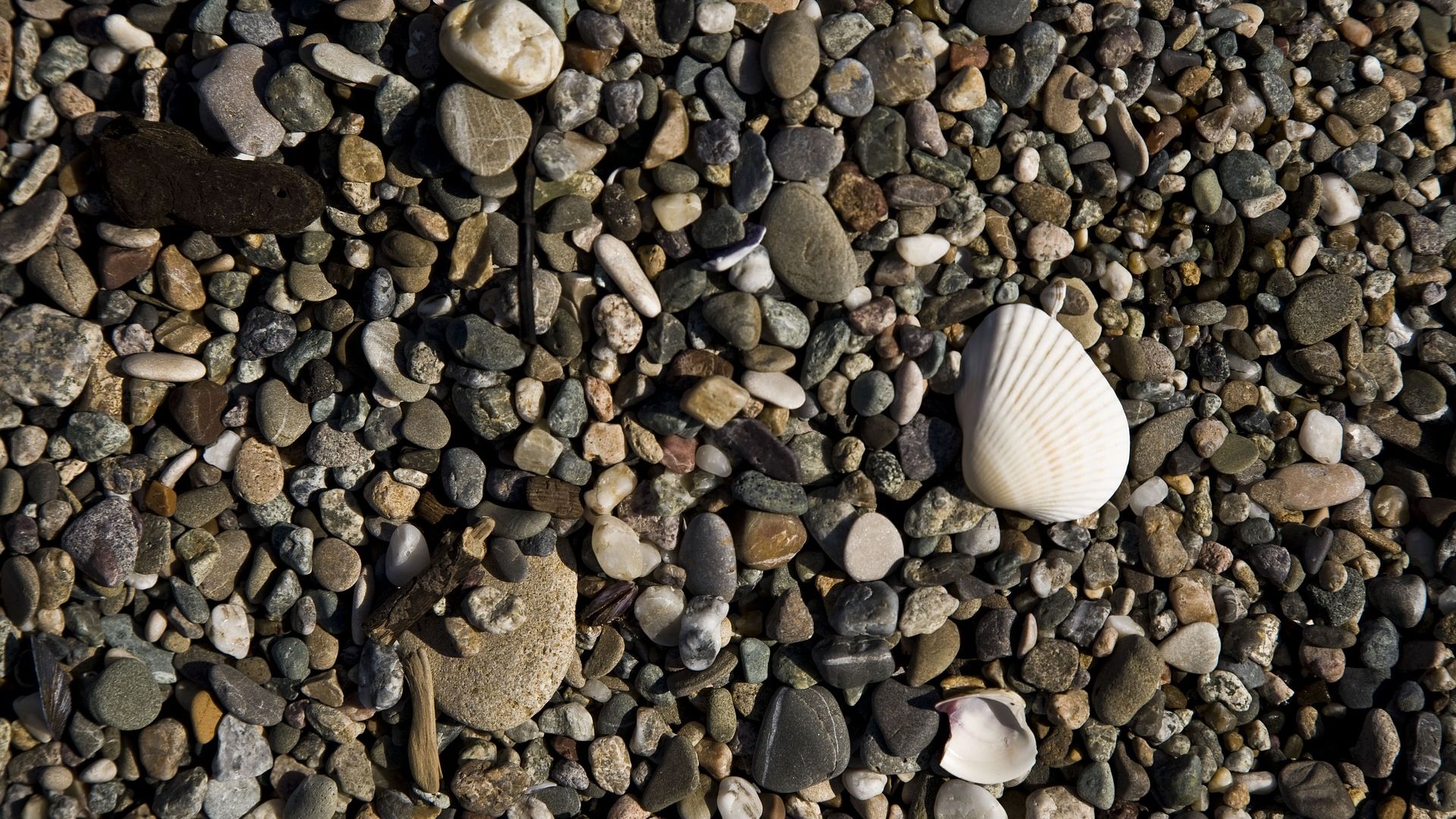 Wallpaper Gravel beach, stones, rocks, sea shell