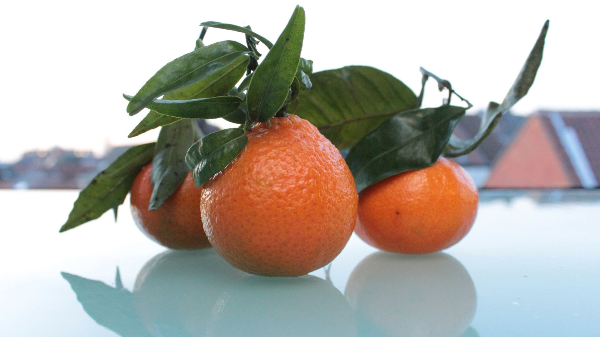 Wallpaper Tangerines, citrus fruits