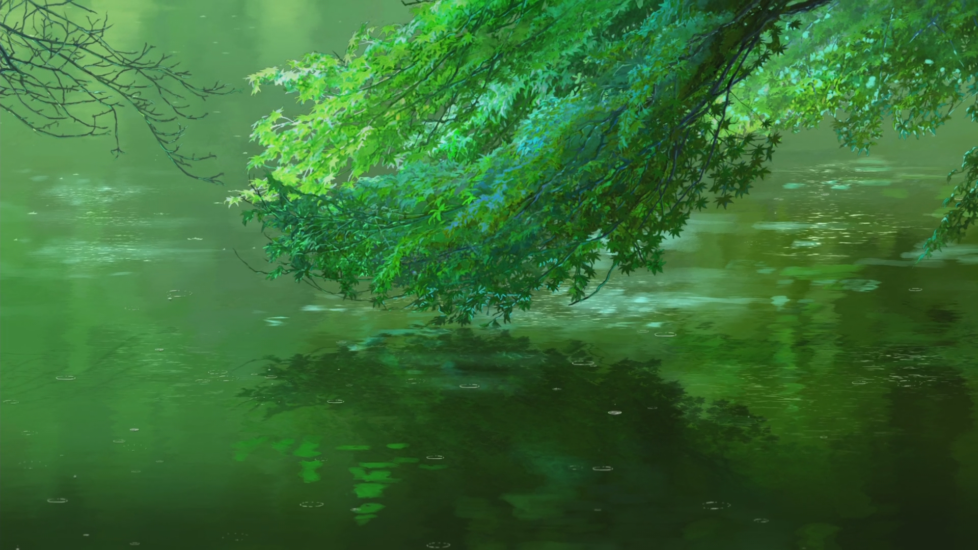 Wallpaper Anime Green tree, branches, leaves, reflections, lake