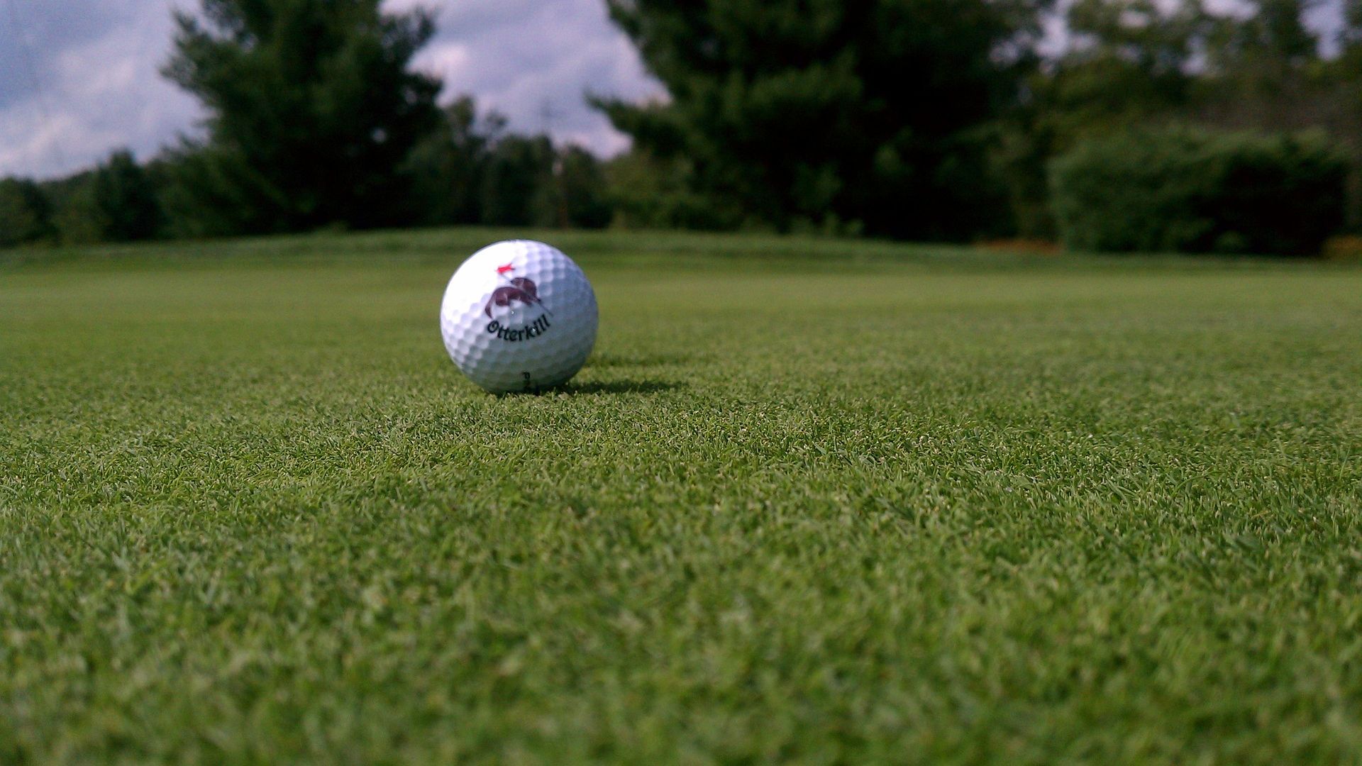 Wallpaper Golf ball, sports, grass field