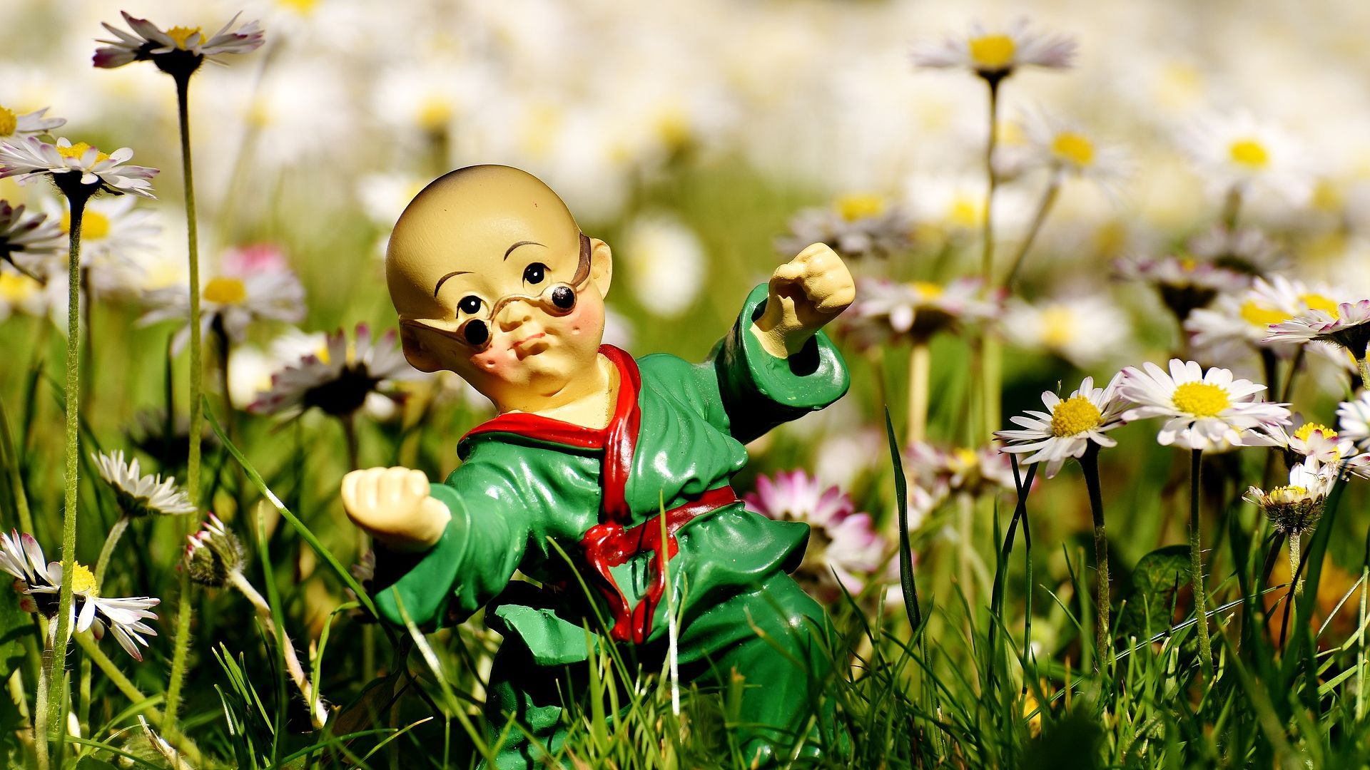 Wallpaper Karate, ninja, toy, meadow, wild flowers