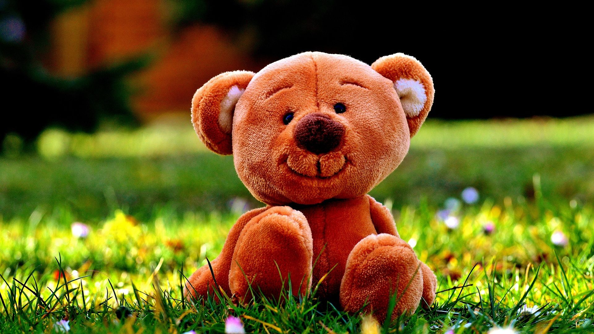 Desktop Wallpaper Smiling Teddy Bear, Toy, Meadow, Grass, Hd Image,  Picture, Background, Kken9l