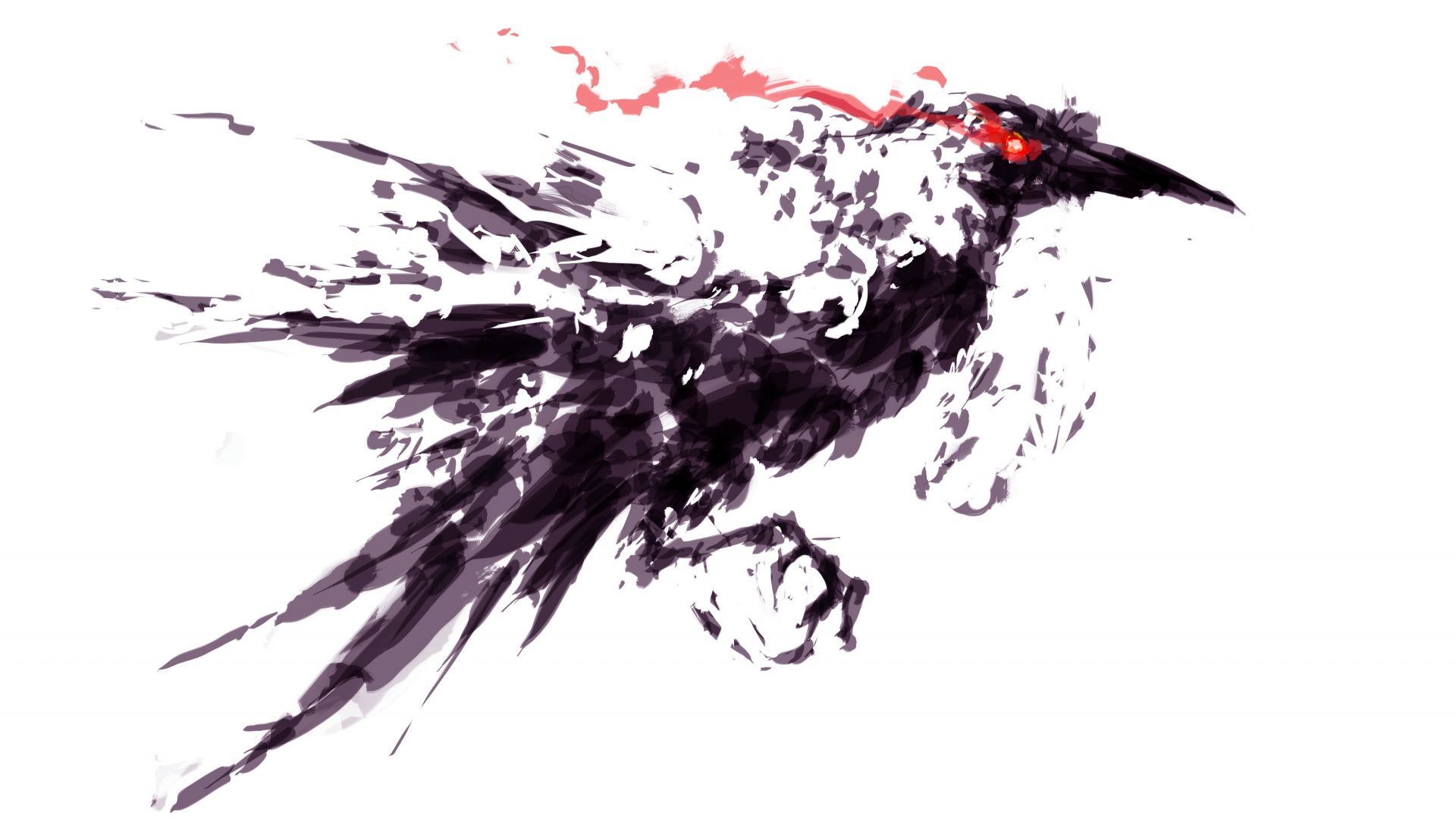 Wallpaper Crow bird, Raven, bird, art