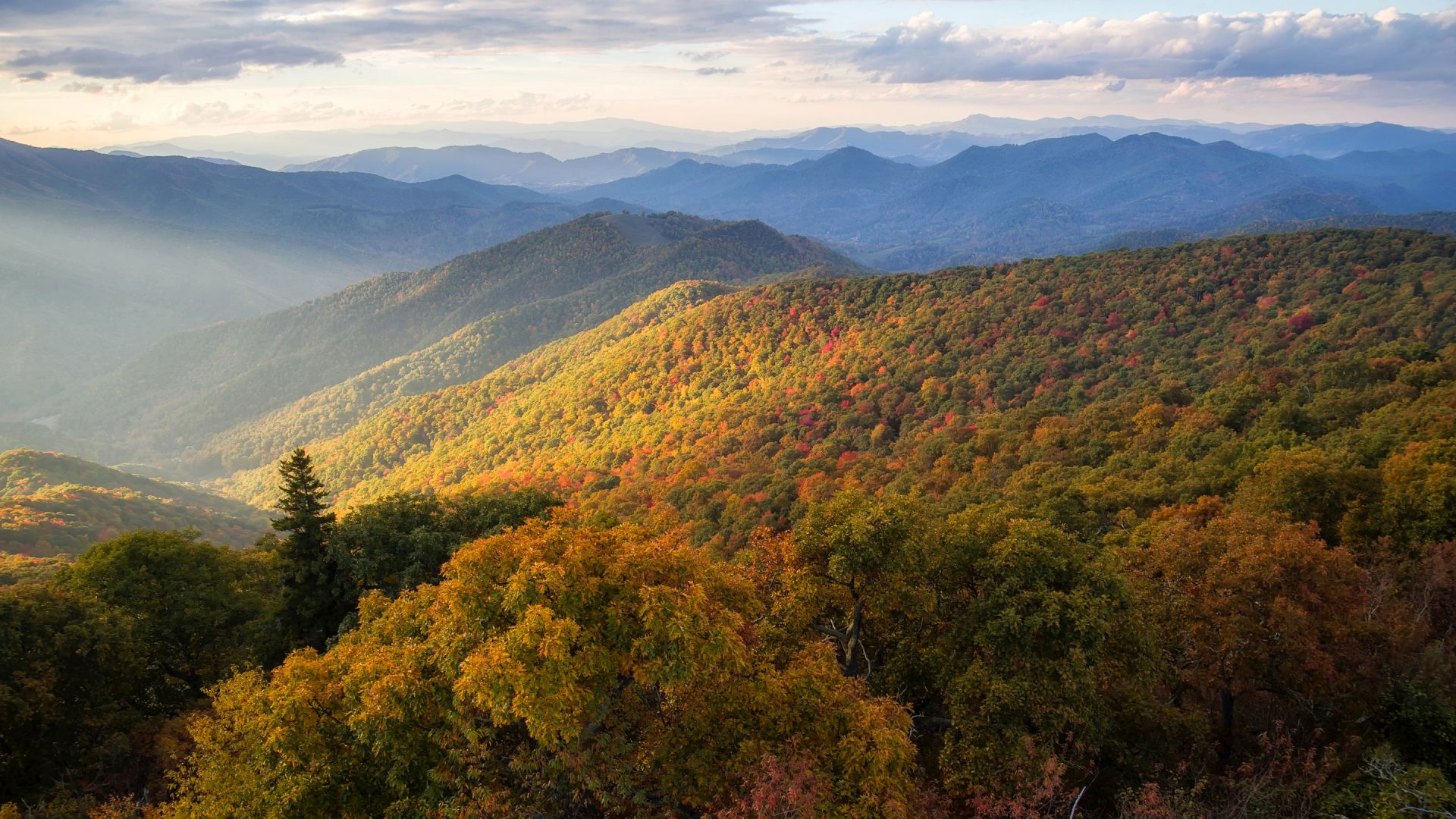 Wallpaper Blue Ridge Mountains, North Carolina, nature