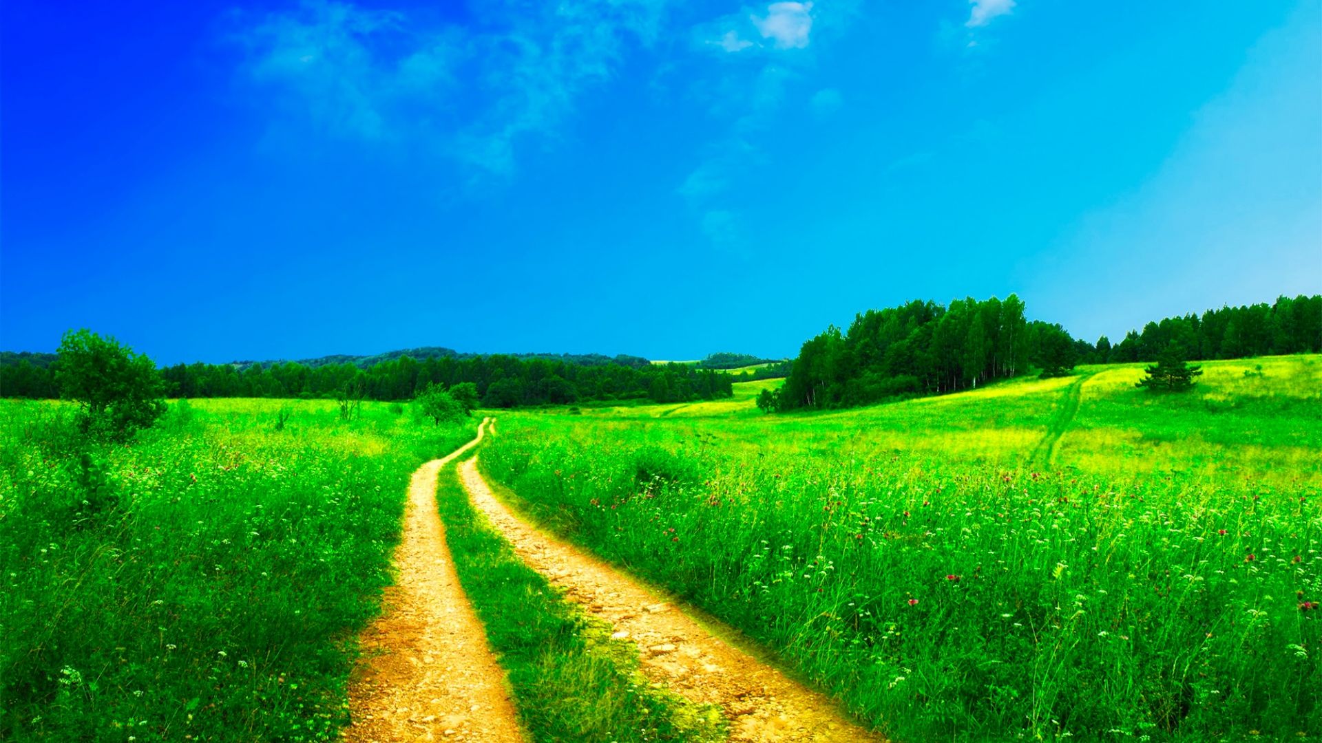 Wallpaper Road, landscape, grass field, blue sky