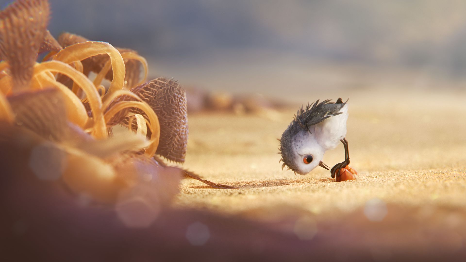 Wallpaper Pixar piper short animation movie