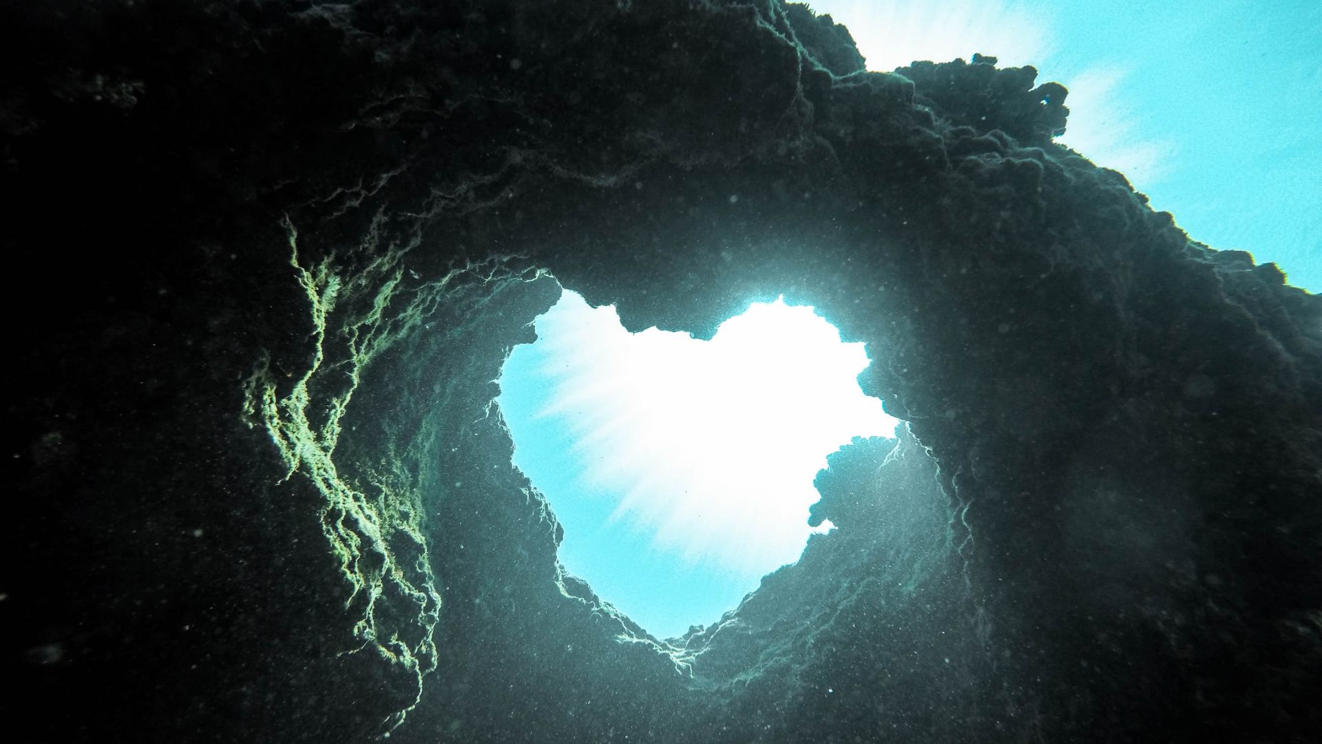 Desktop Wallpaper Heart Shape, Nature, Underwater, Hd Image, Picture,  Background, Lo3zup