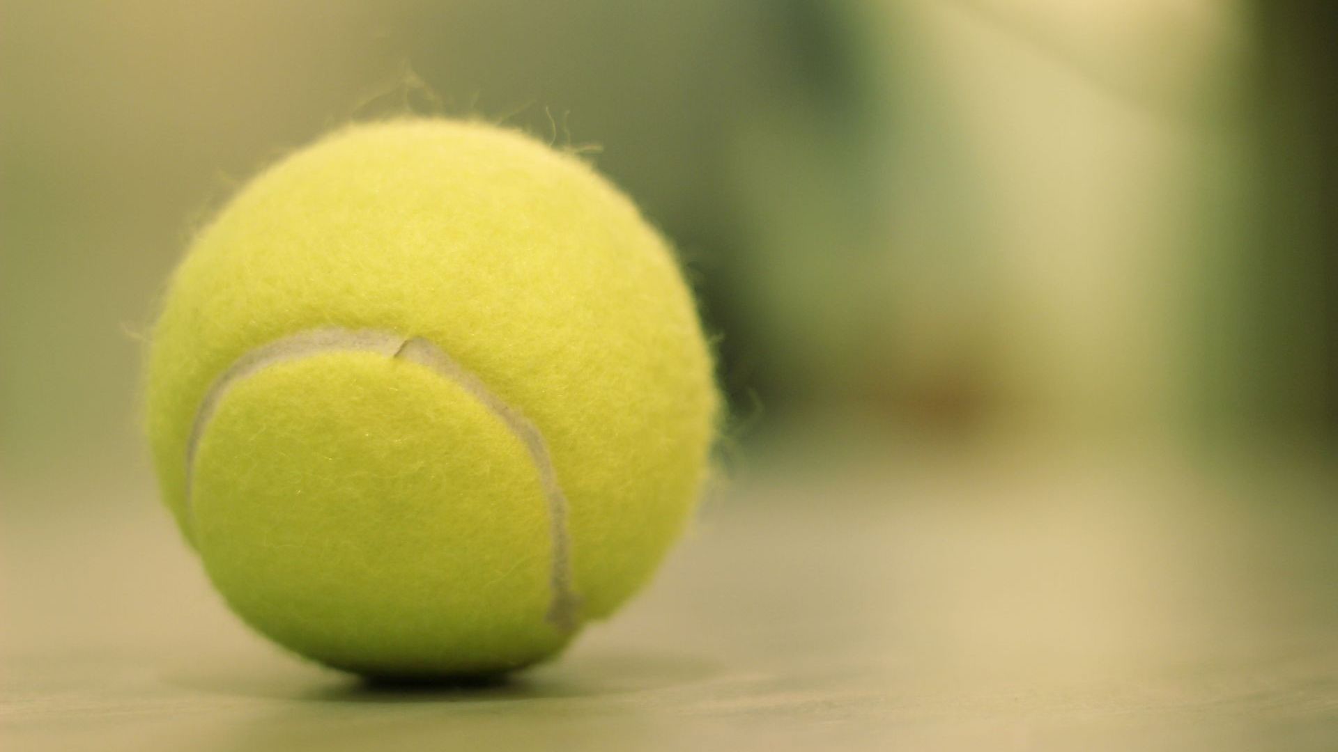 Wallpaper Tennis ball, close up, sports