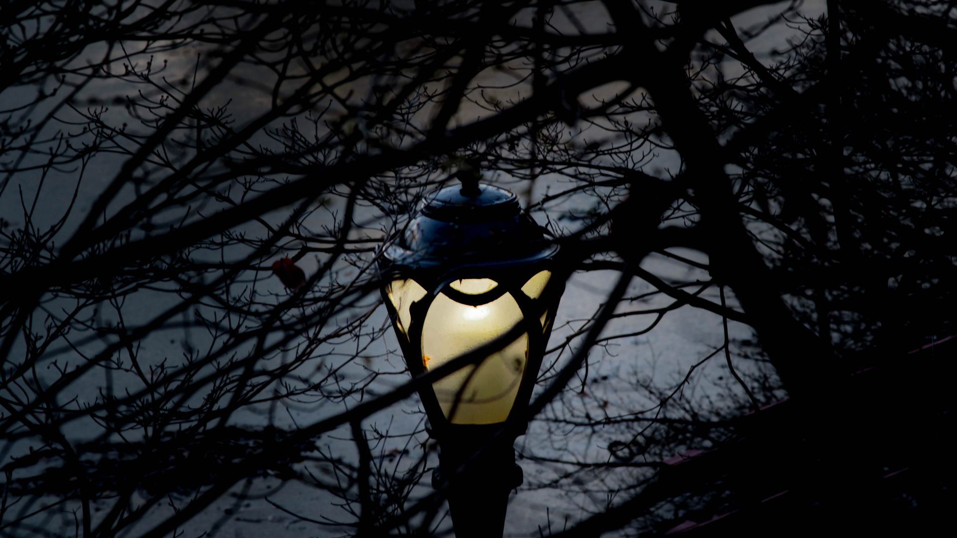 Wallpaper Lamp post in night