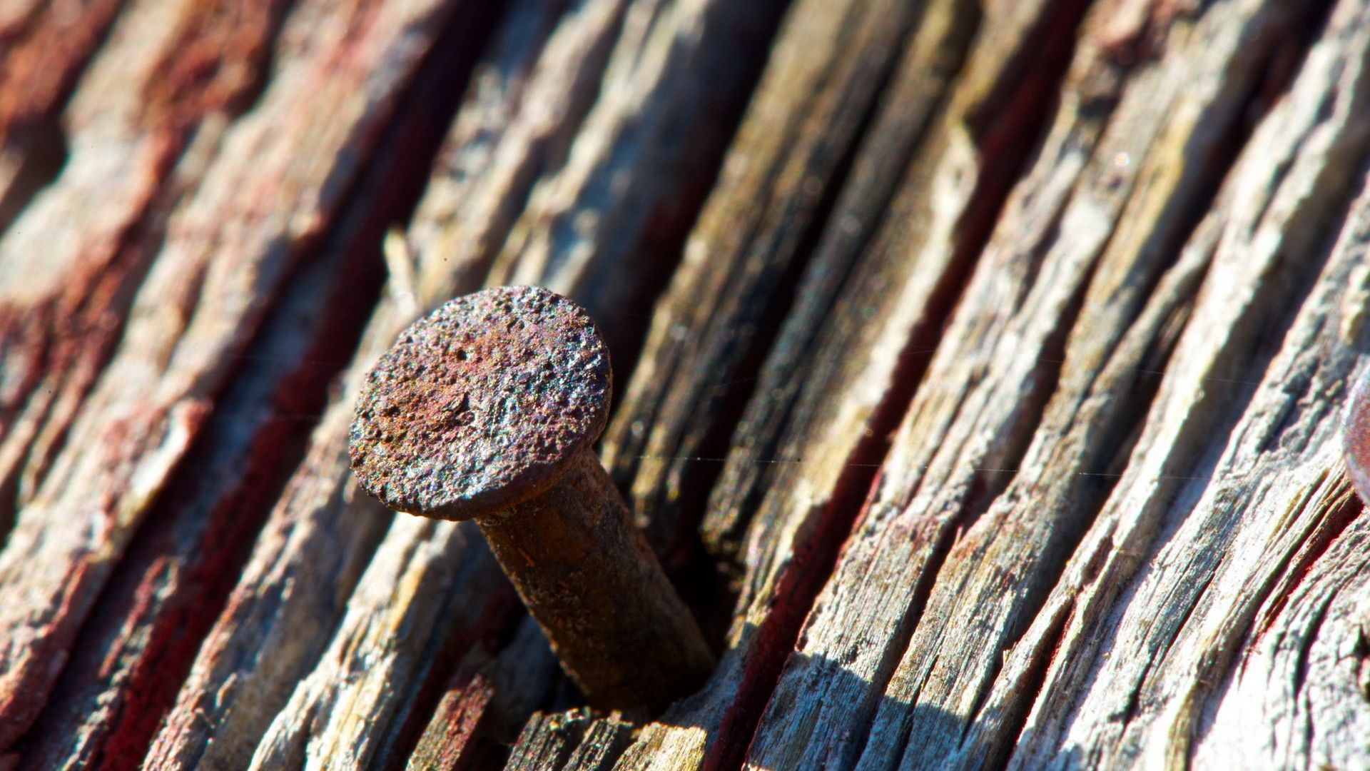 Wallpaper Rusty nail in the wood