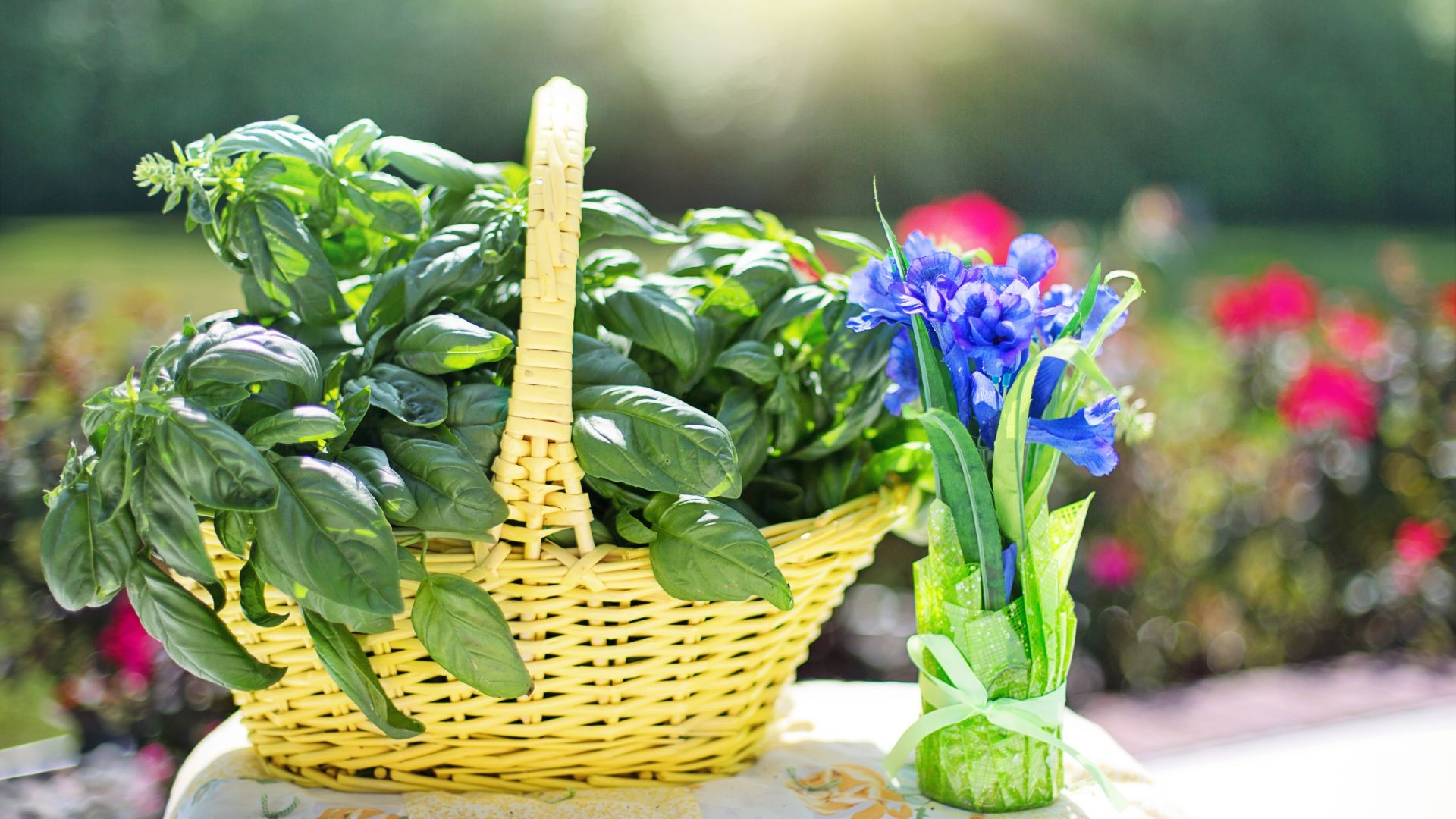 Wallpaper Herb, fresh organic vegetables, basket