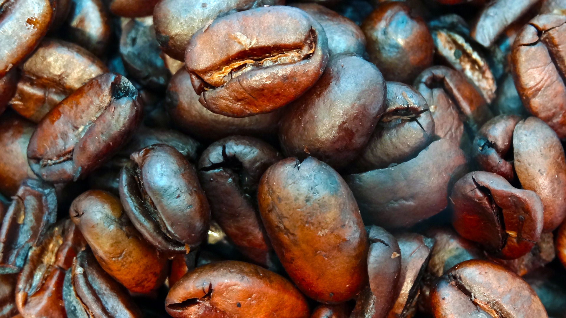 Wallpaper Coffee beans, beans, close up