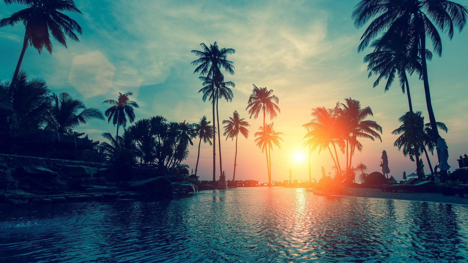 Wallpaper Resort, sunset, palm tree