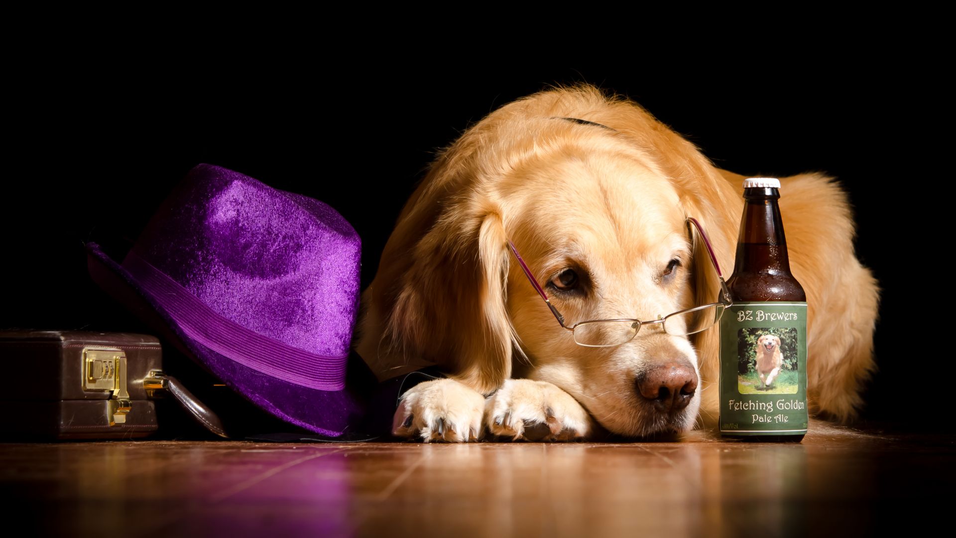 Wallpaper Golden retriever dog, hat, bottle, glasses