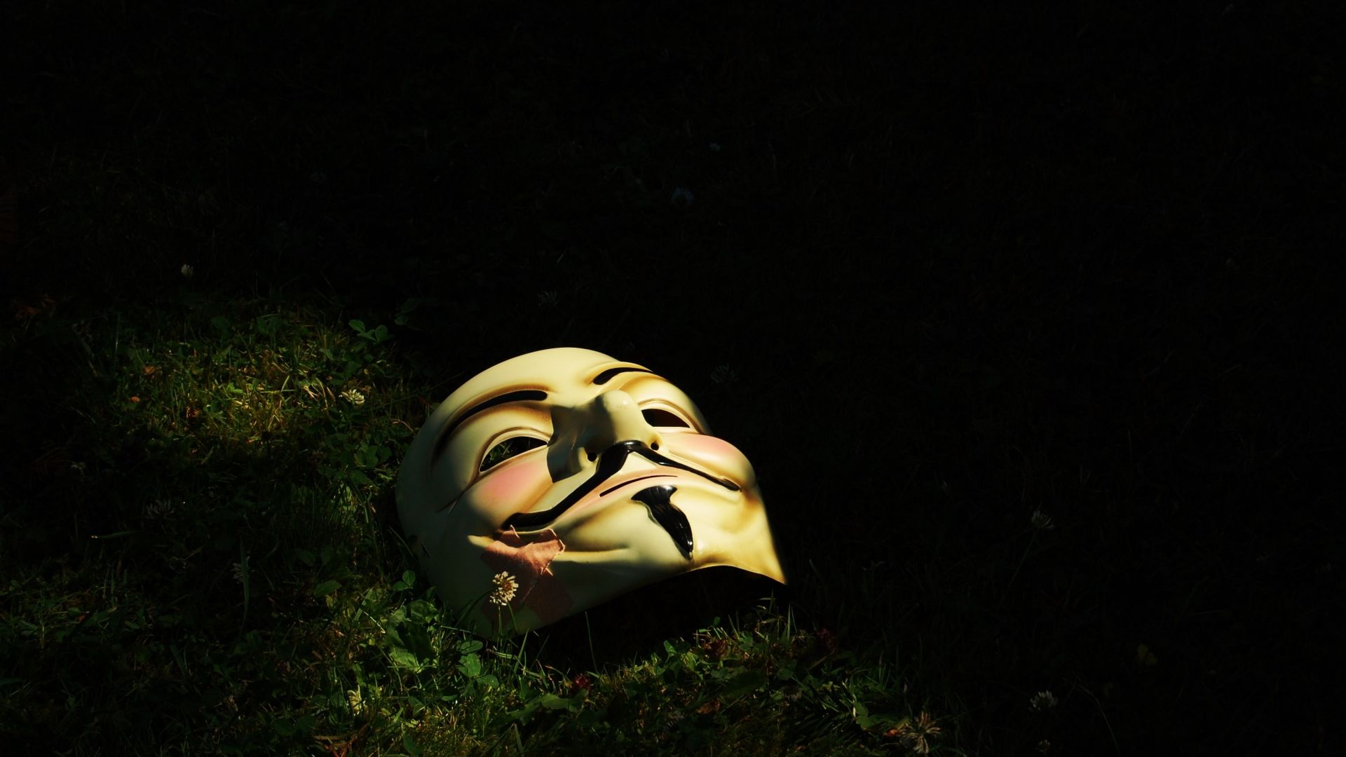 Wallpaper Mask in grass