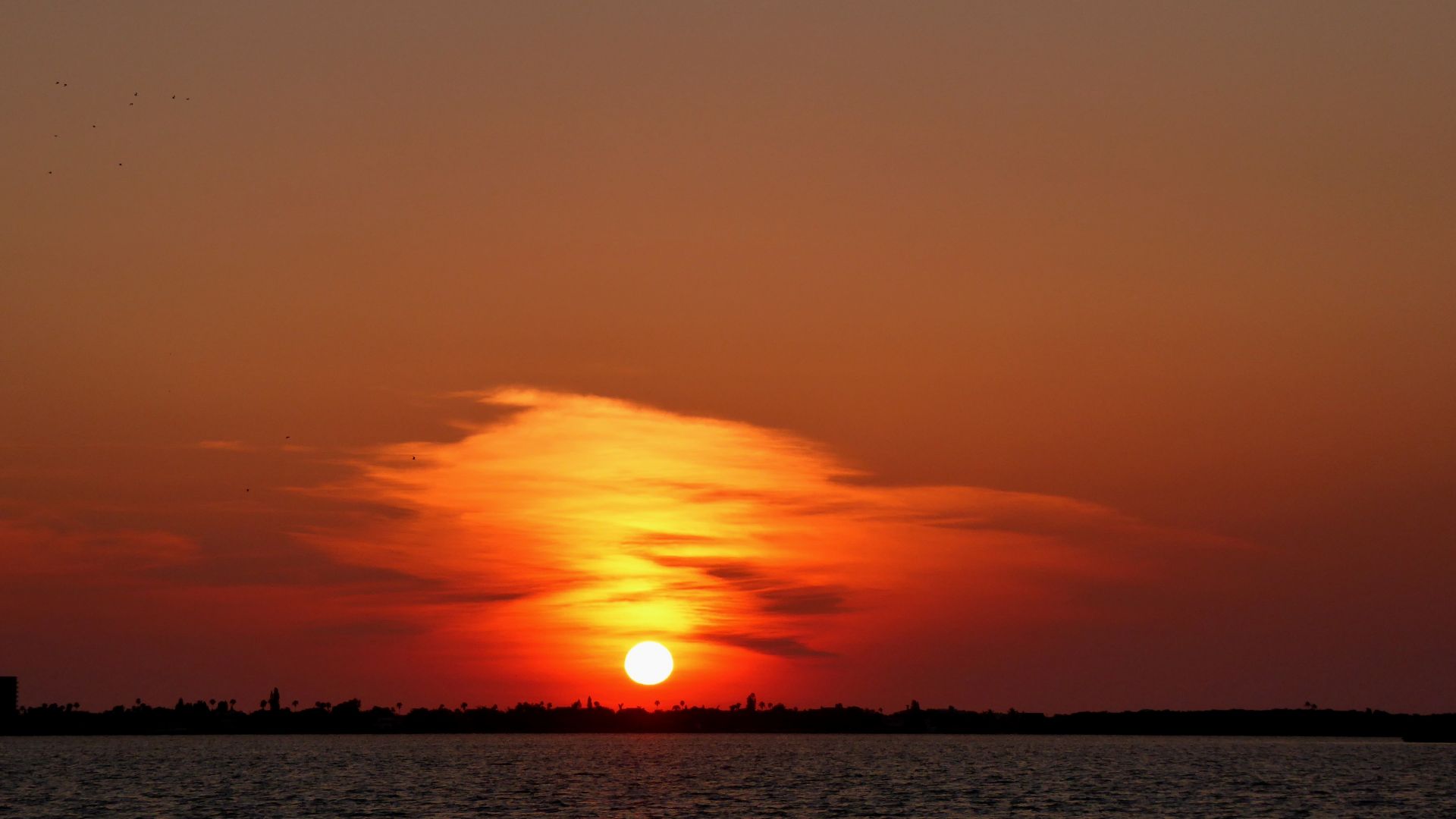 Wallpaper Florida beach, skyline, sunset, nature