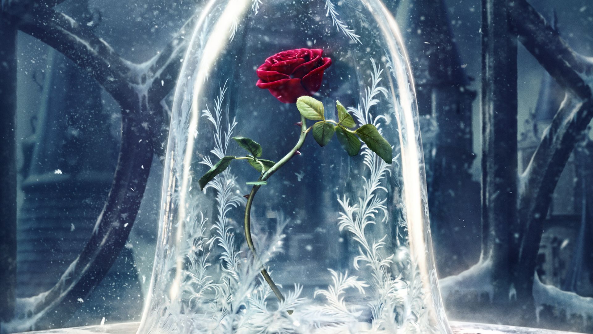 Wallpaper Beauty and the beast, 2017 movie, Rose