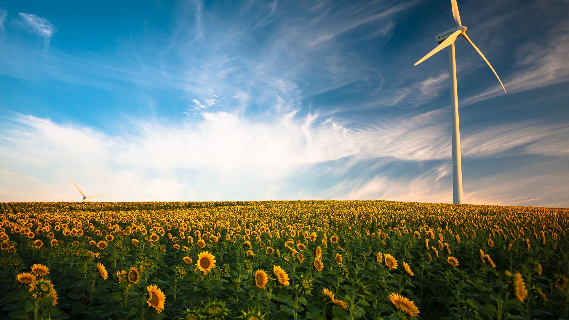 Wallpaper Wind turbine, sunflower field, blue skyline, 4k