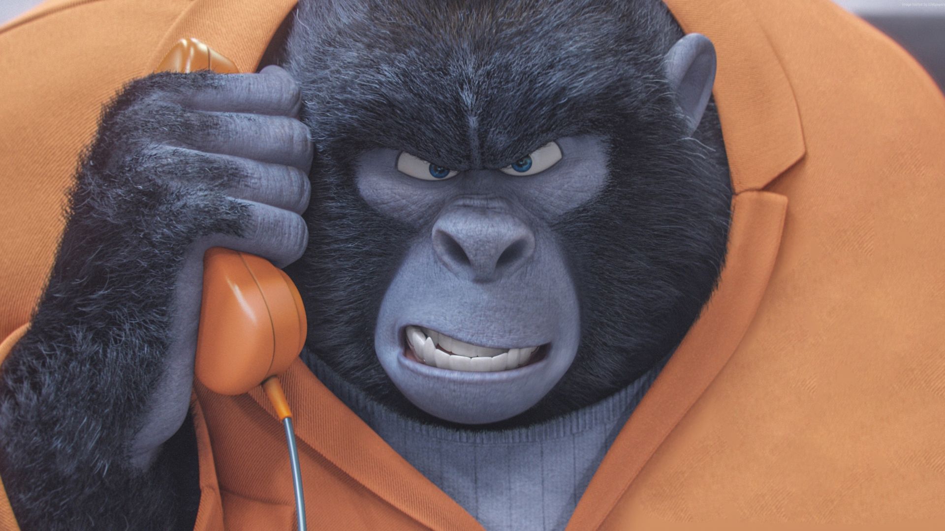 Wallpaper Gorilla of Sing animation movies