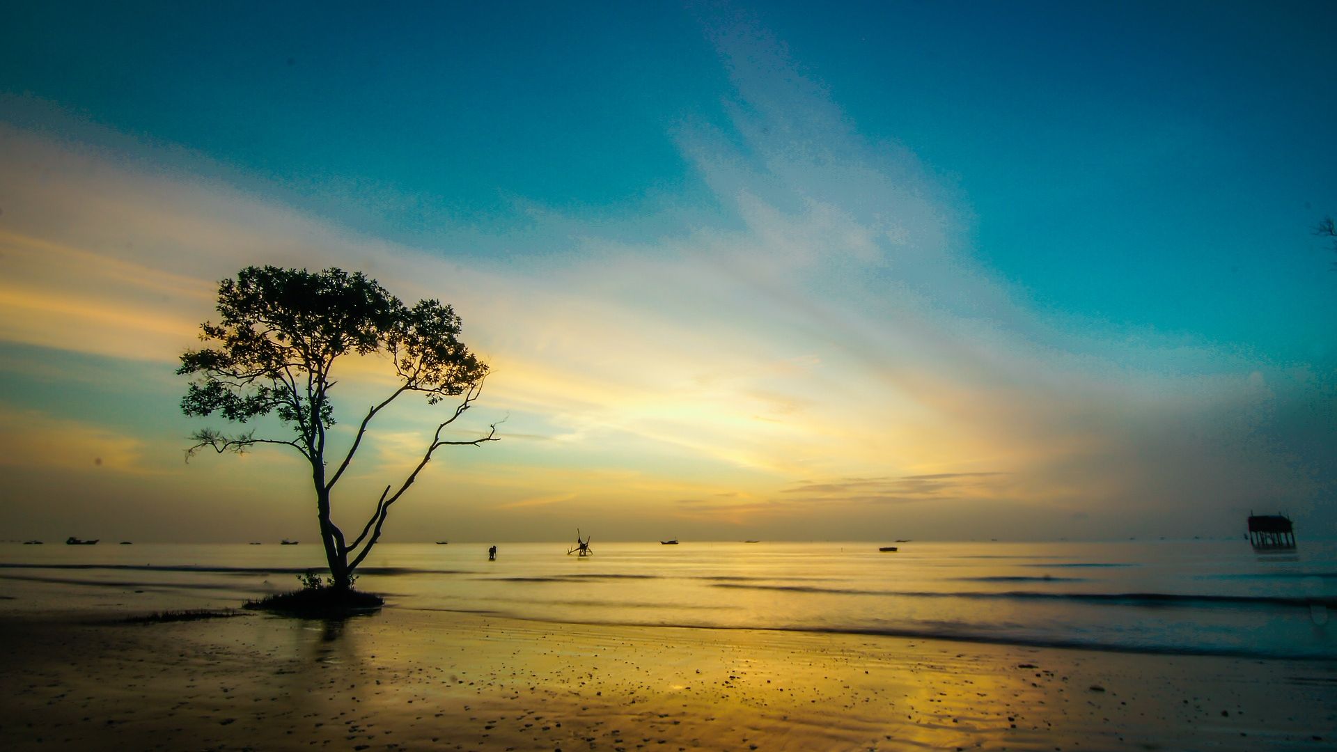 Wallpaper Sunset, tree, skyline, nature