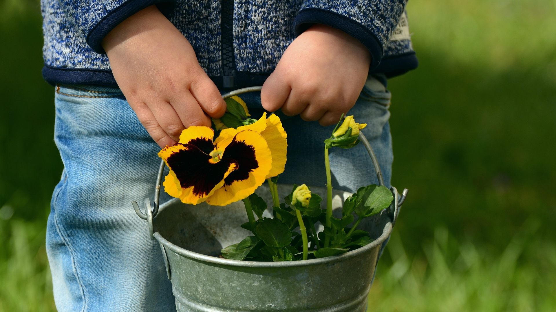 Wallpaper Flowers in basket, child hands