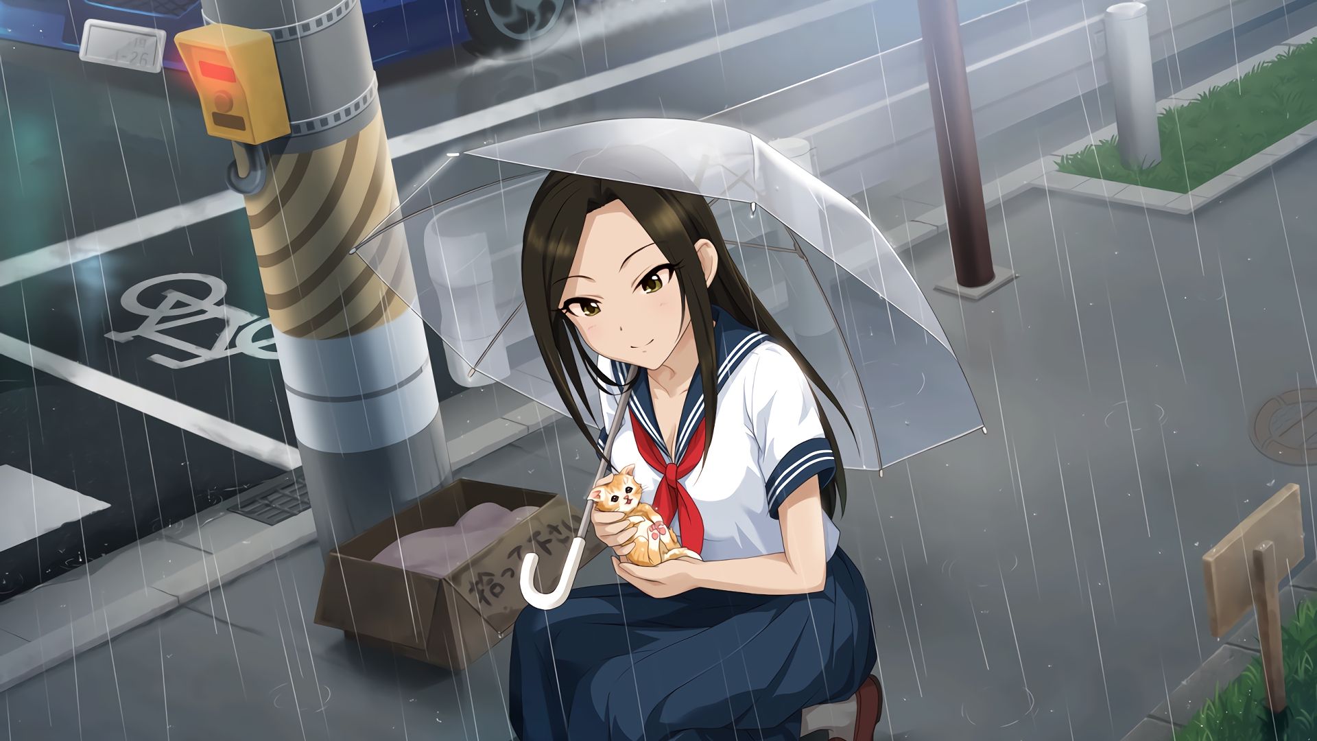 Wallpaper Takumi Mukai, anime girl, umbrella, rain, kitten